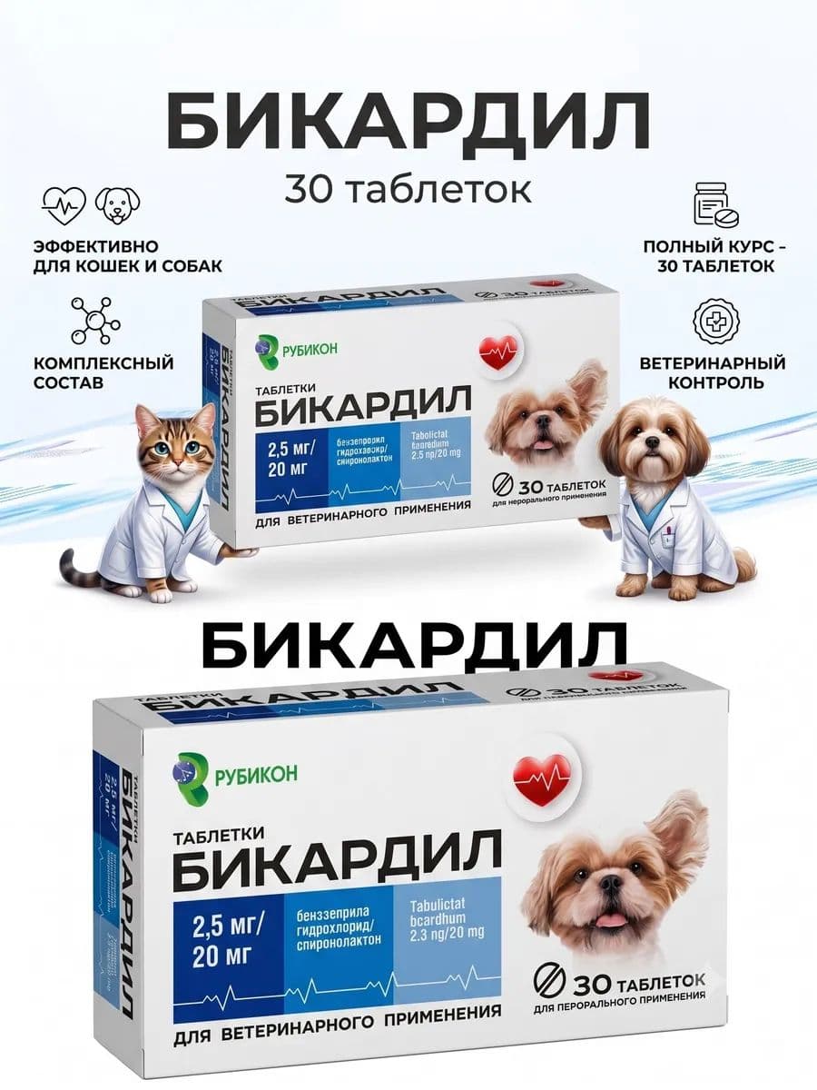 Бикардил 2,5мг/20мг, таблетки №30. Рубикон