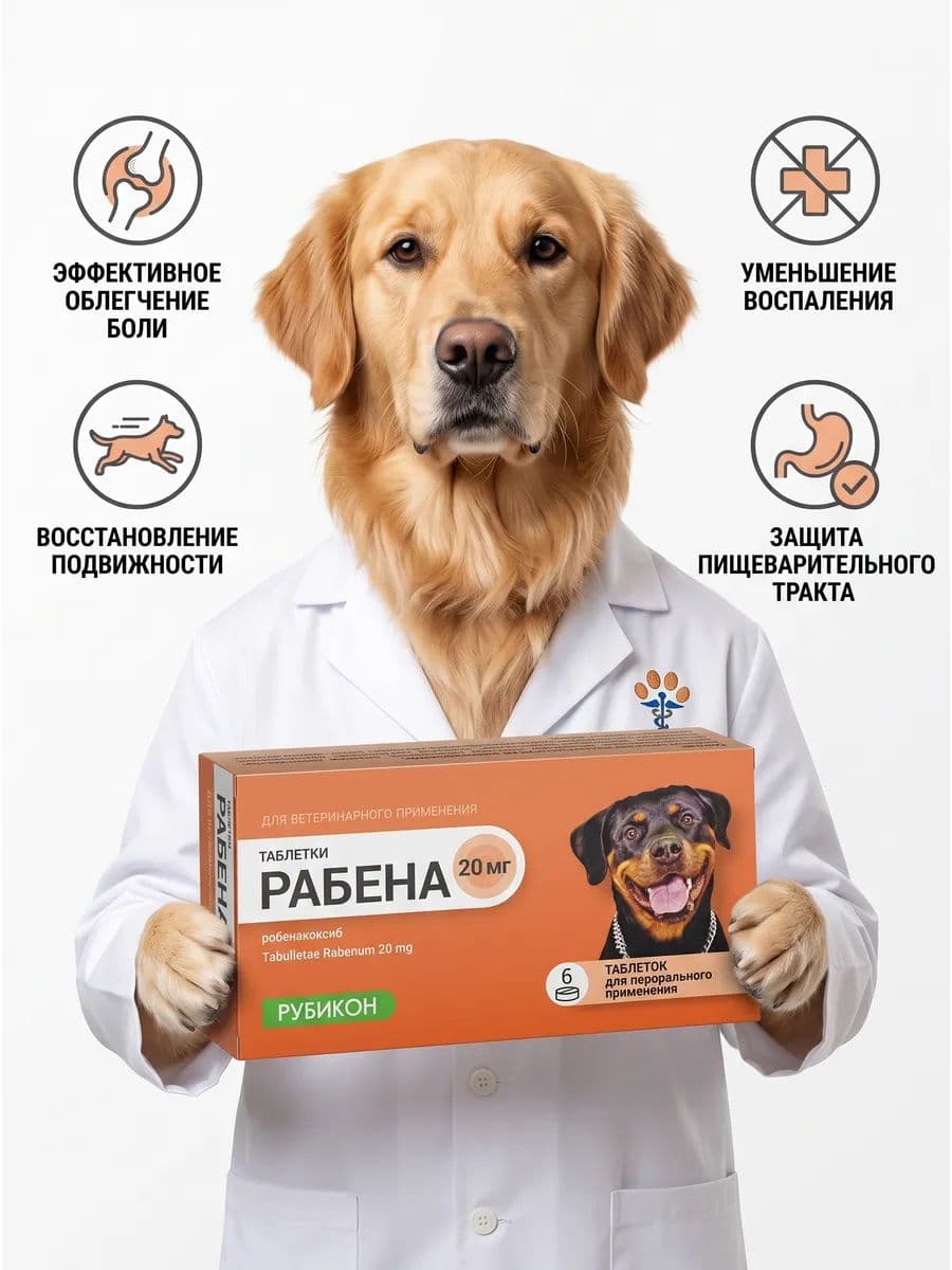 Рабена (Онсиор) таблетки для собак 20 мг, 6 таб.
