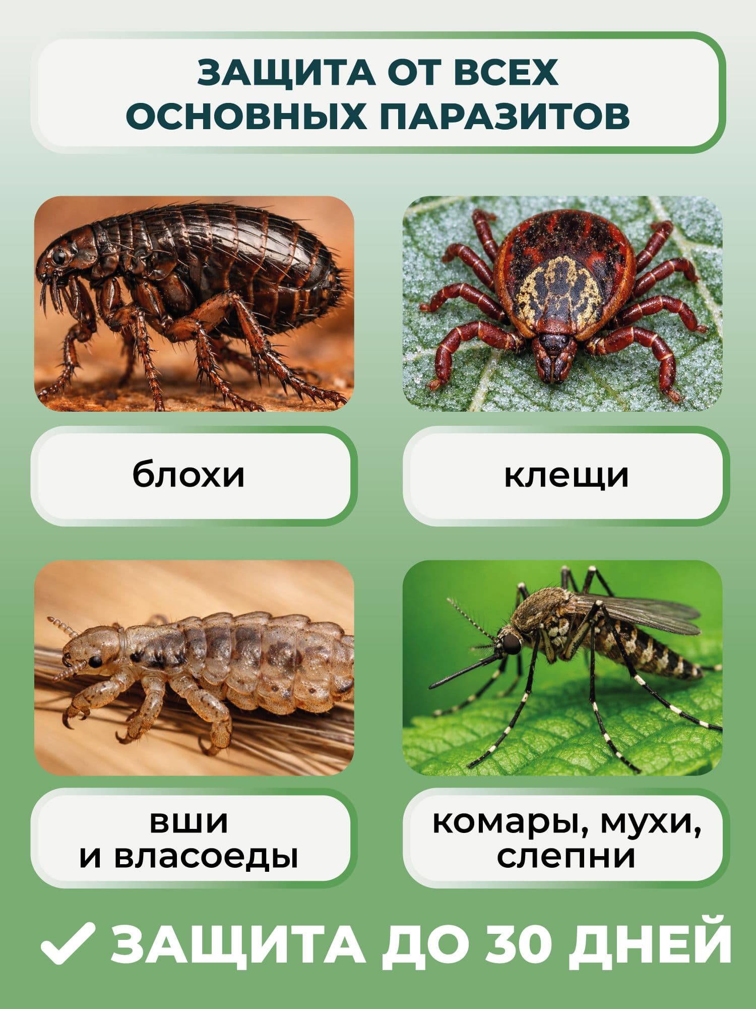Капли от блох и клещей GreenFort для кошек, кроликов и собак до 10 кг