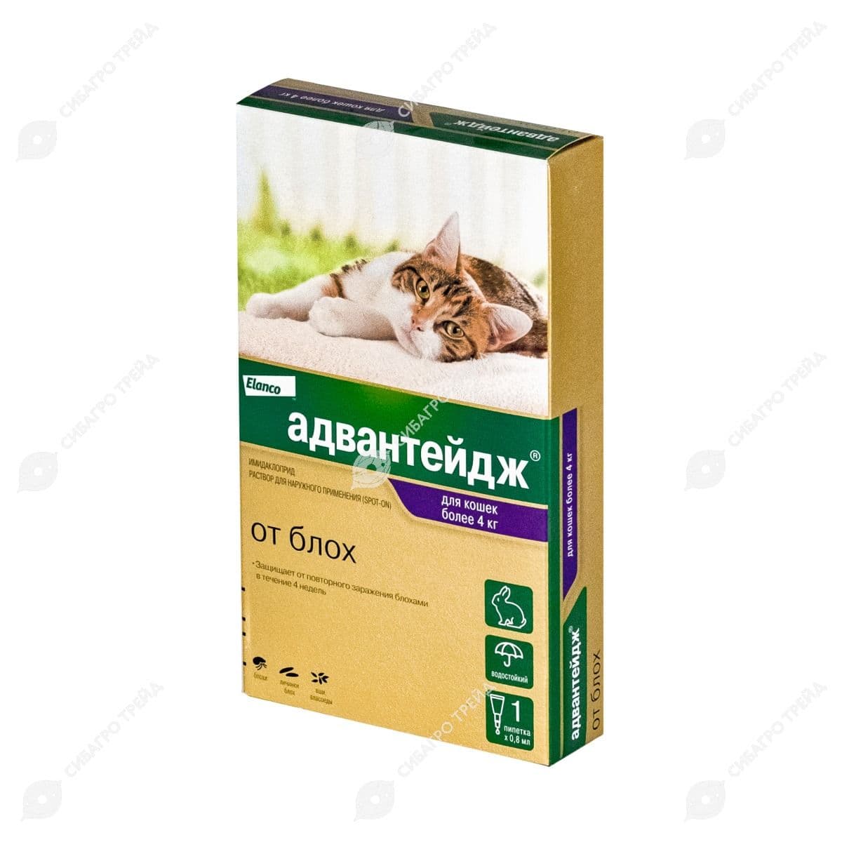 Адвантейдж 80 д/кошек от 4кг уп.1 ПИПЕТКА! (до 05.2030)