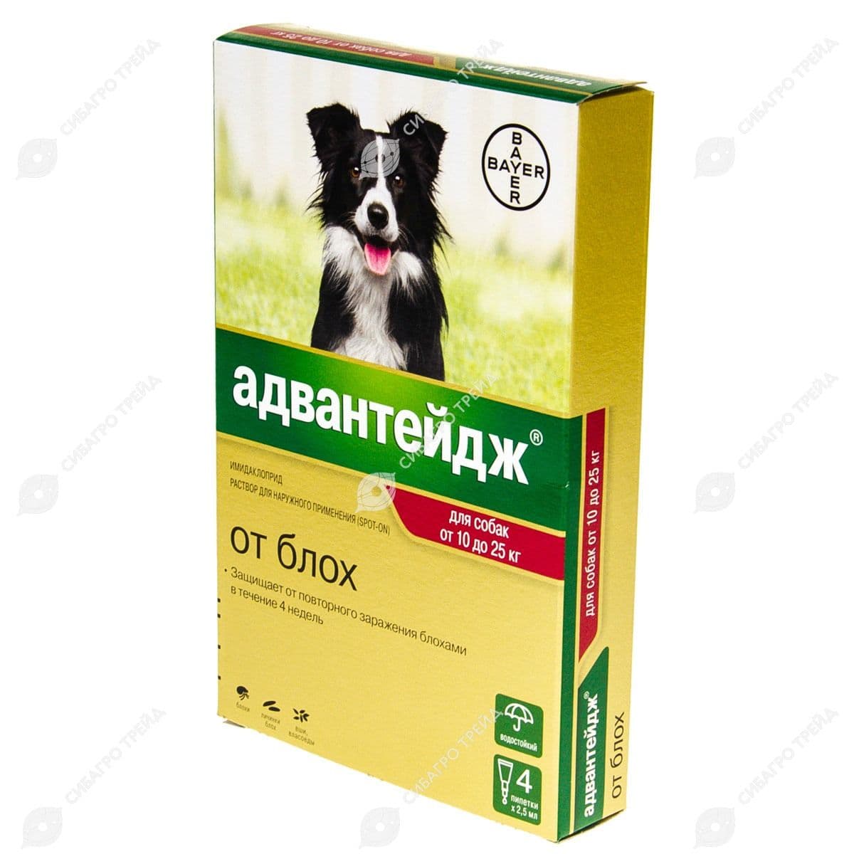 Адвантейдж д/соб от 10 кг до 25 кг уп.4 пипетки (до 05.2030)