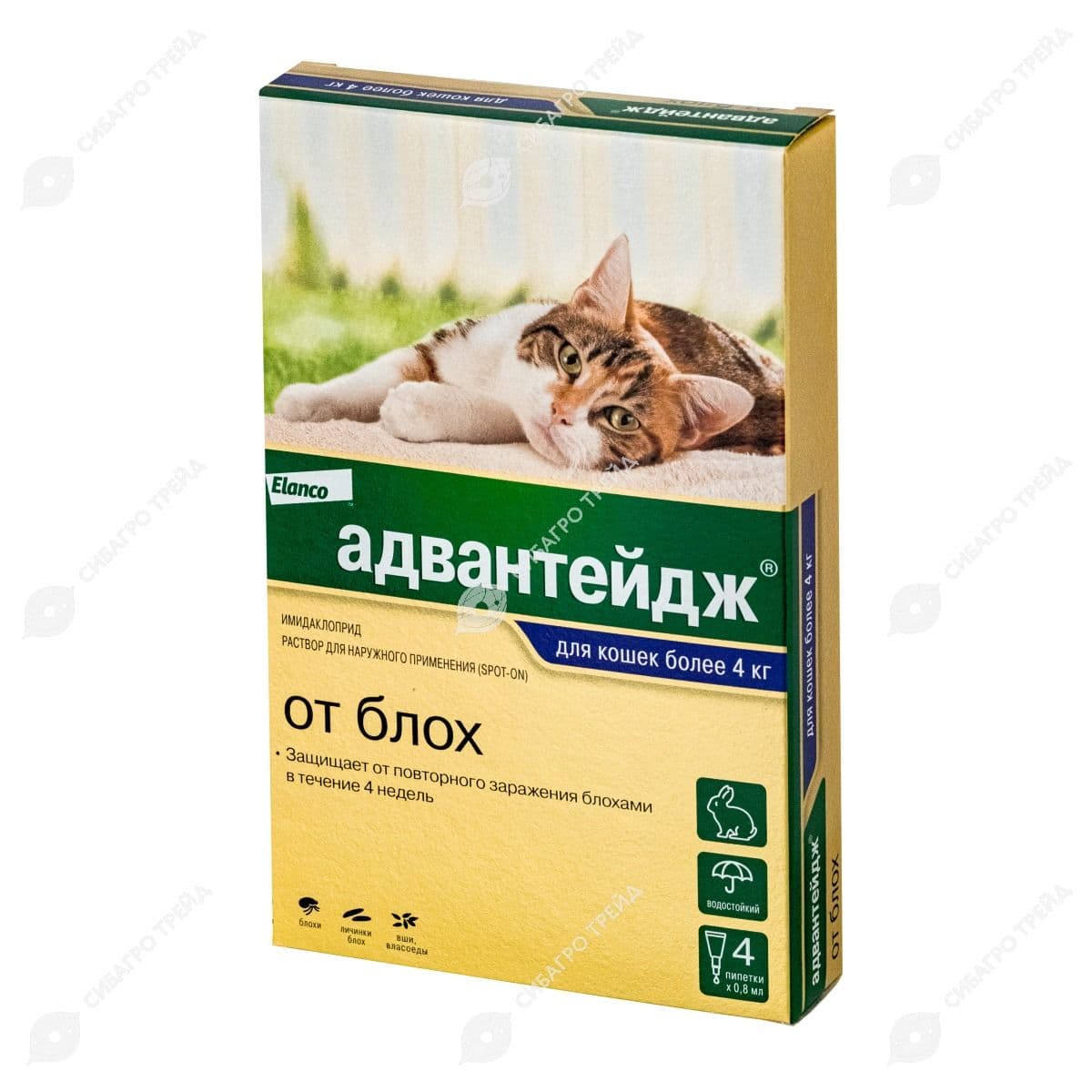 Адвантейдж 80 д/кошек от 4кг уп.4 пипетки (до 09.2029)