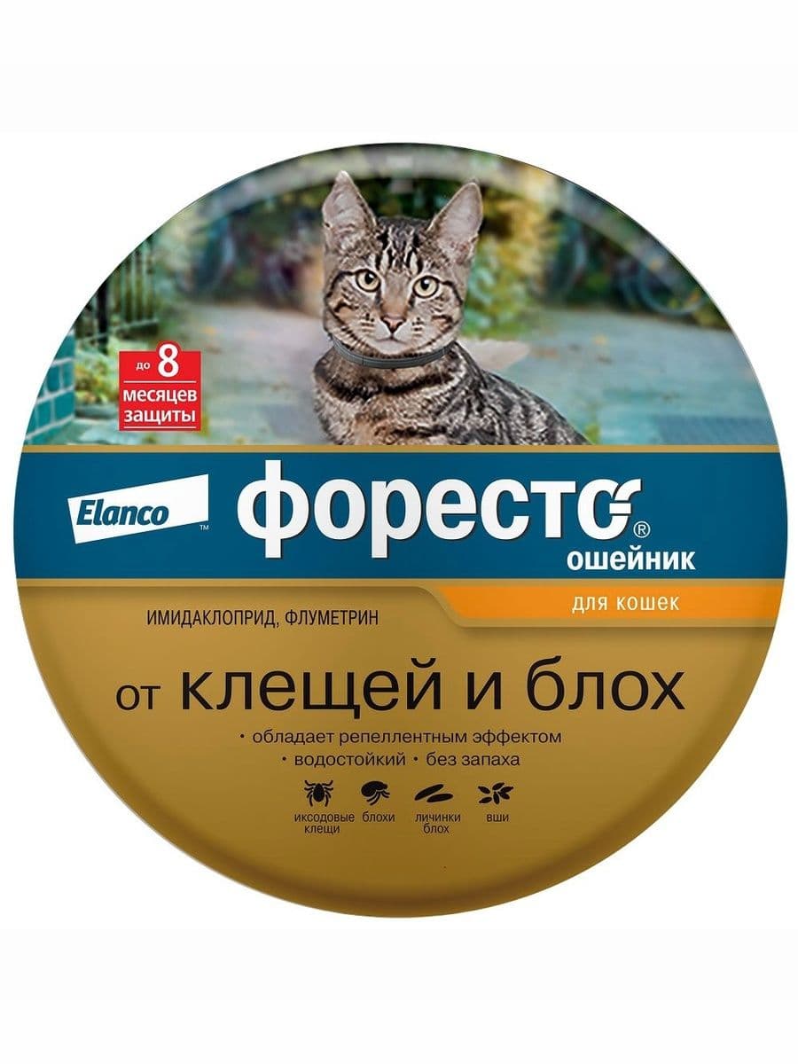 Ошейник Форесто для кошек