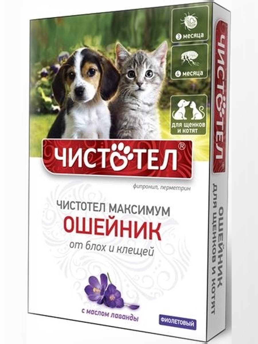 Ошейник Чистотел Максимум для щенков и котят фиолетовый от блох и клещей