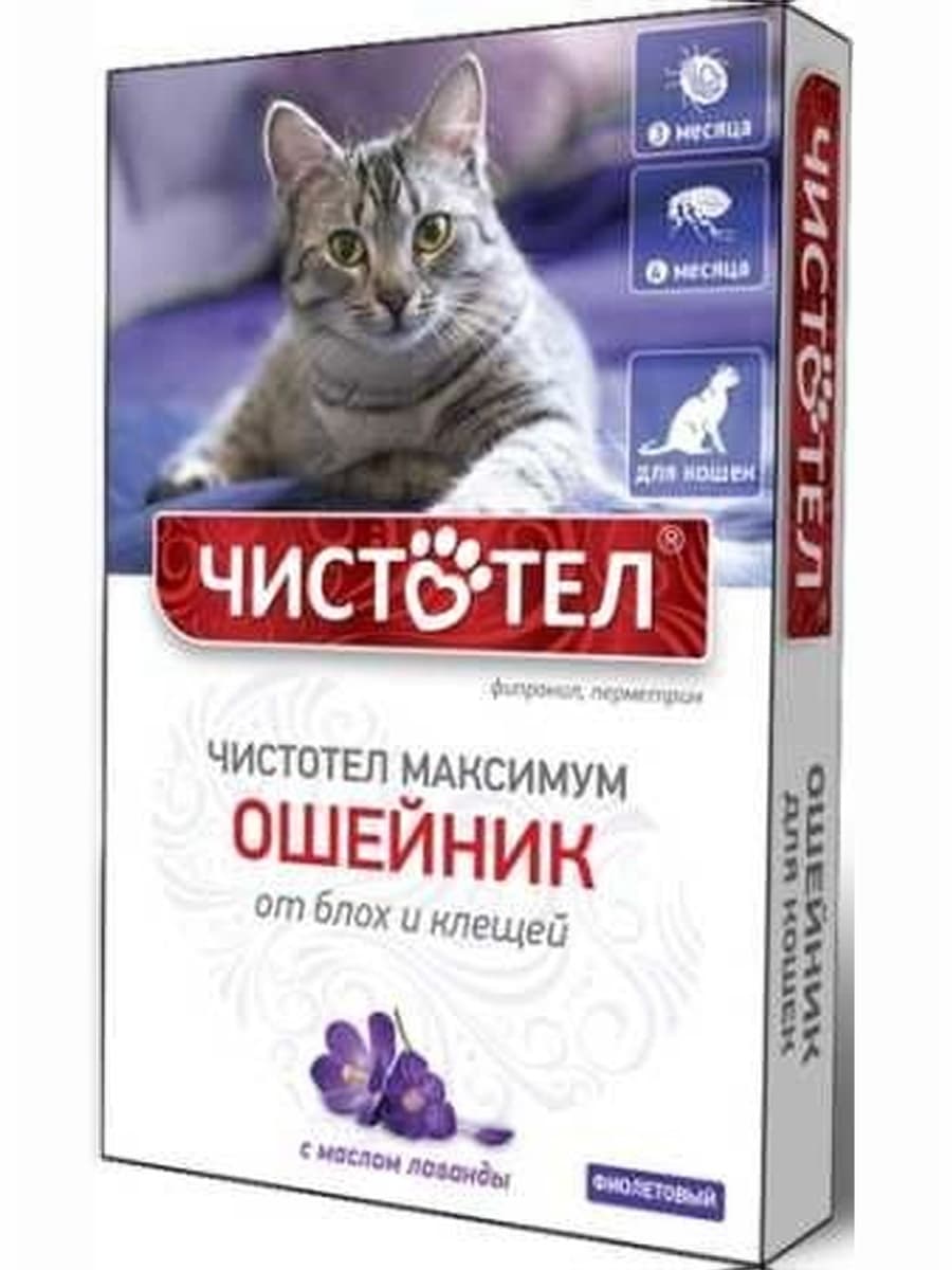 Ошейник Чистотел Максимум для кошек фиолетовый /C606/
