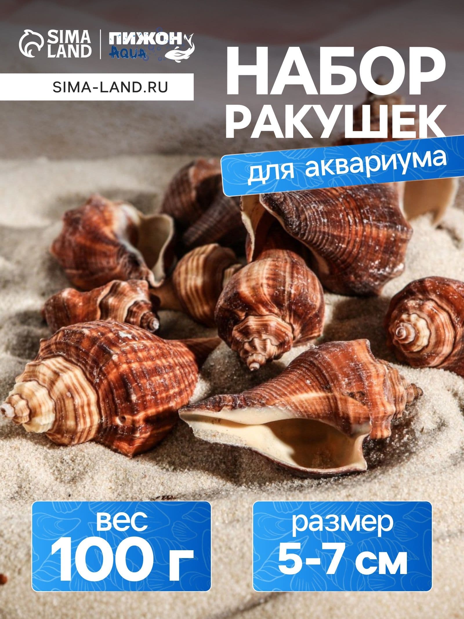 Декор для аквариума / Набор ракушек, 5-7 см, 100 г