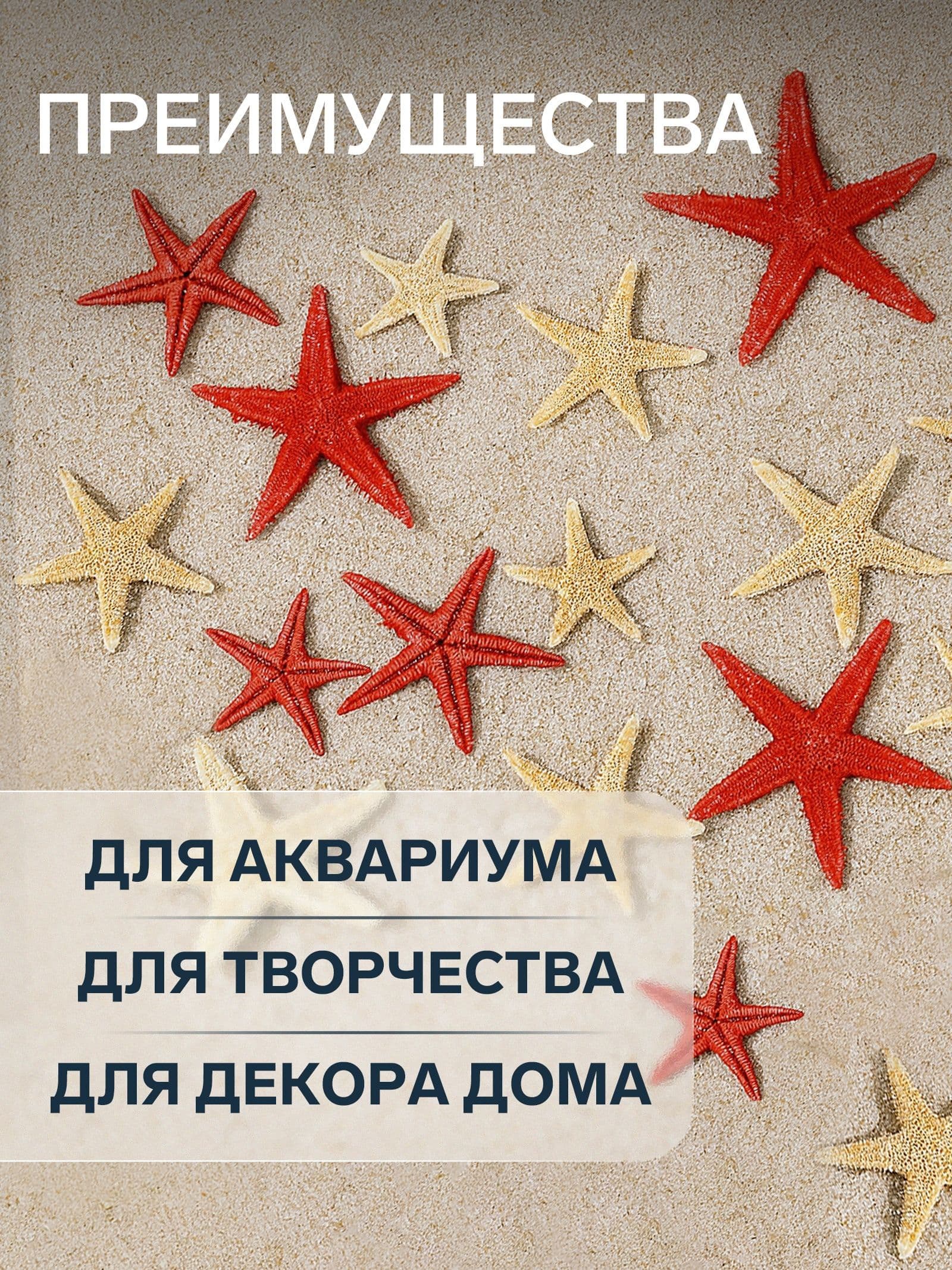 Набор натуральных морских звезд, 1,5 - 2,5 см, 20 шт, красные - белые