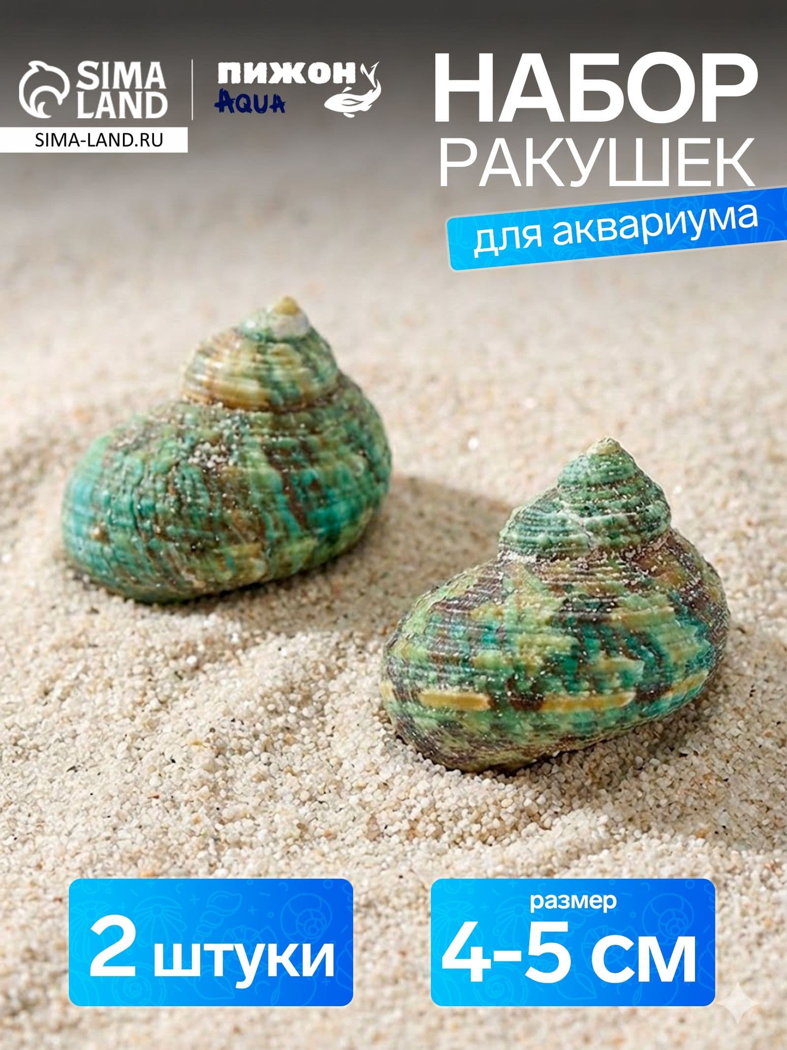 Набор ракушек декоративных, длина 4-5 см ширина 2 см, 2 шт.