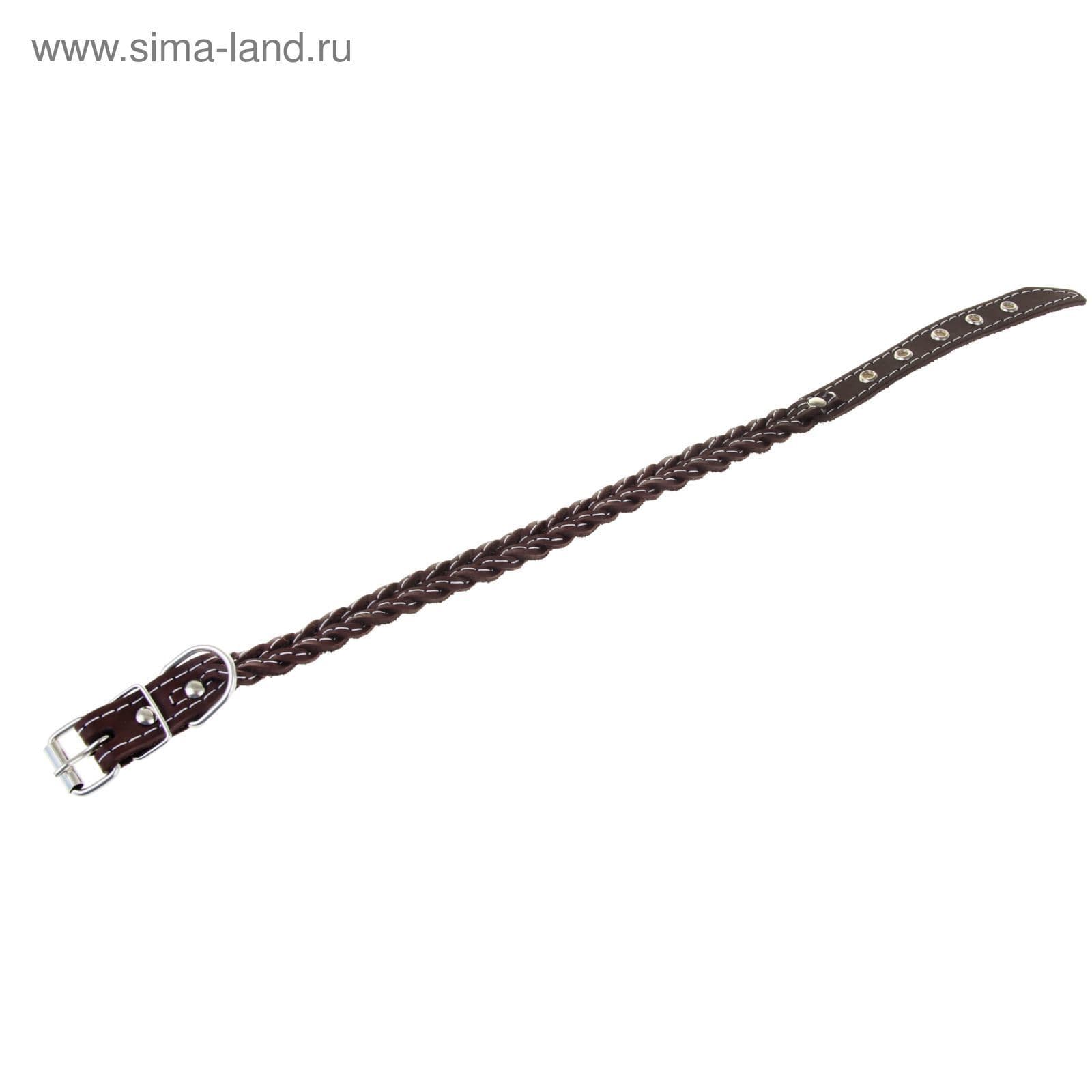 Ошейник кожаный плетеный, 42 х 2 см, ОШ 35-45 см