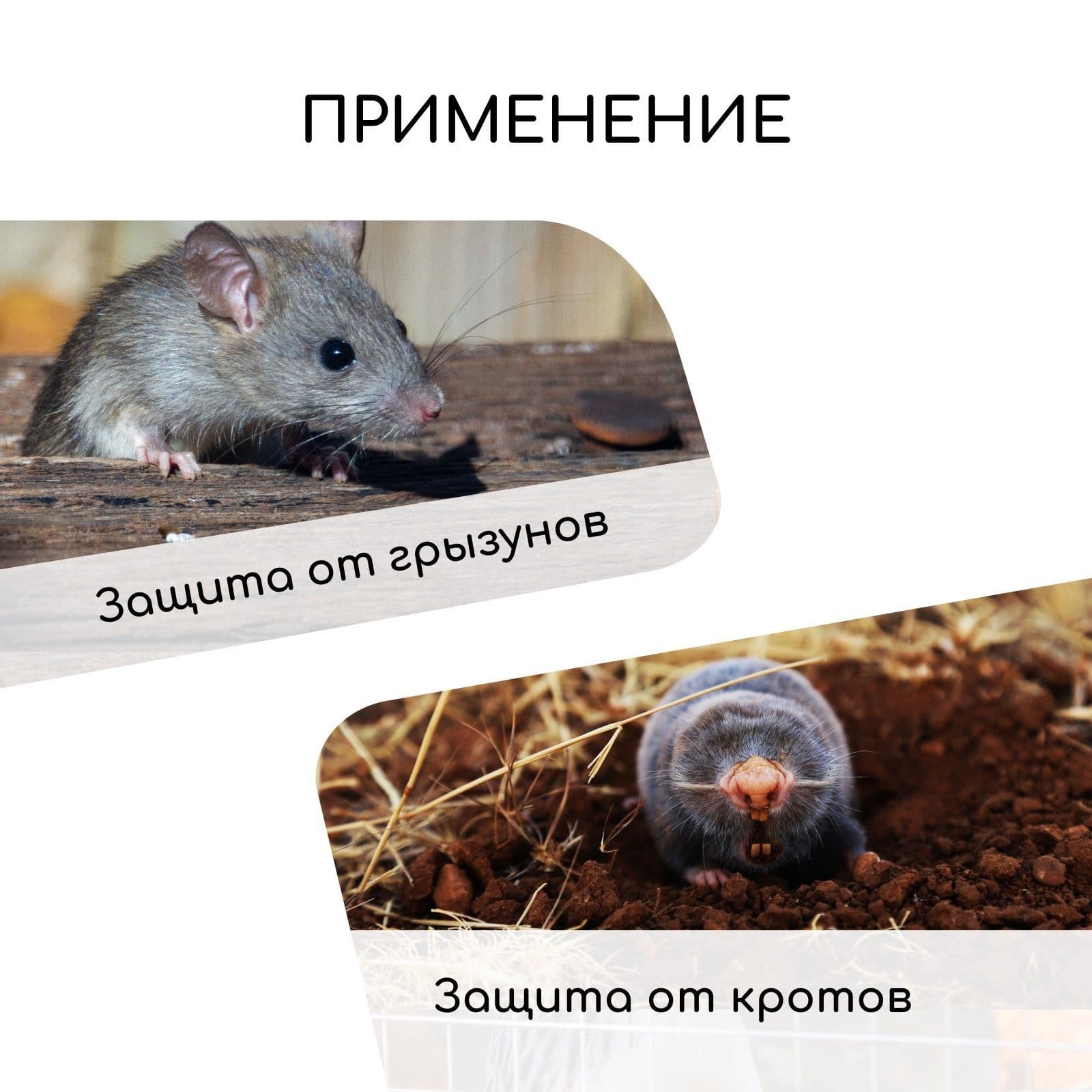 Сетка оцинкованная сварная 10 х 1 м Greengo, ячейка 20 х 20 мм, диаметр 0.7 мм