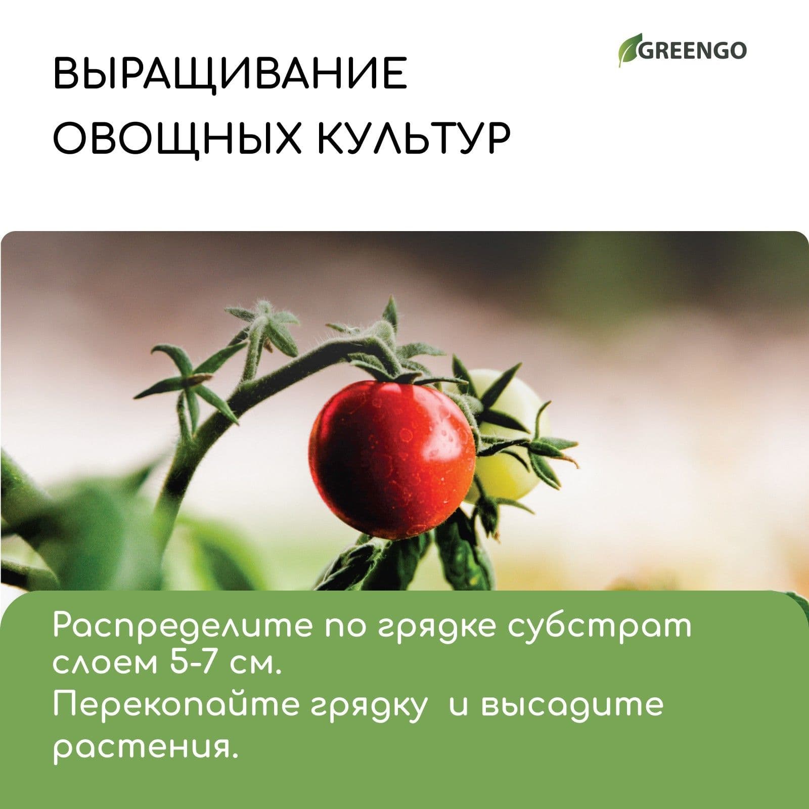 Субстрат кокосовый для комнатных растений, цветов, улиток, 65 л, 30% чипсы и 70% кокосовый торф, Greengo