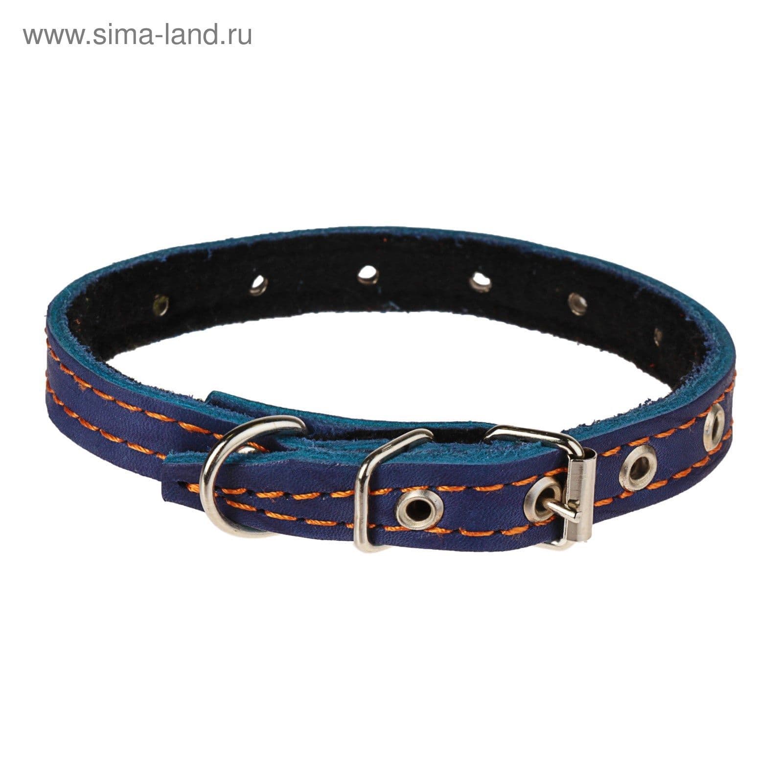 Ошейник кожаный для собак на синтепоне, безразмерный, 37*1,5 см, синий