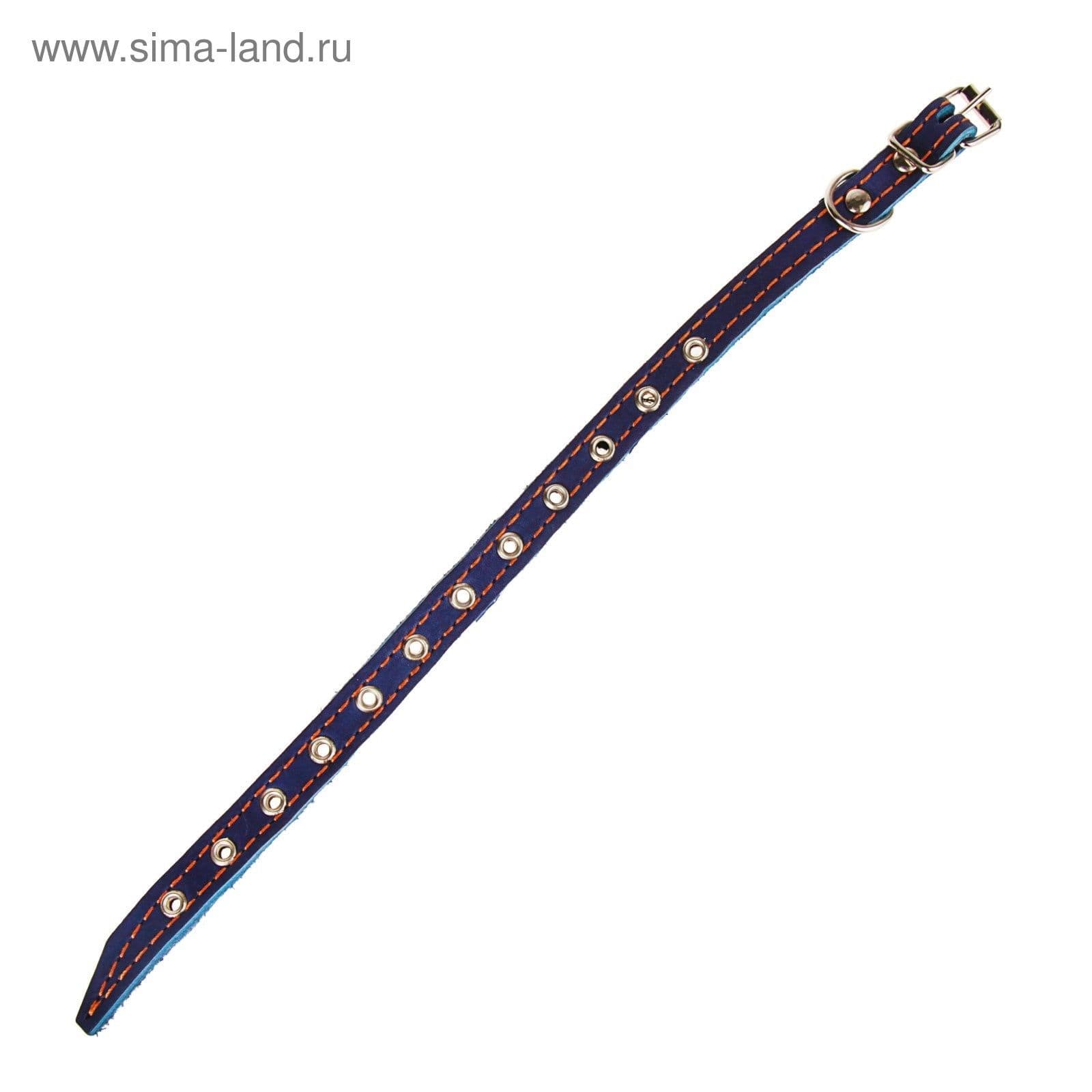 Ошейник кожаный для собак на синтепоне, безразмерный, 37*1,5 см, синий