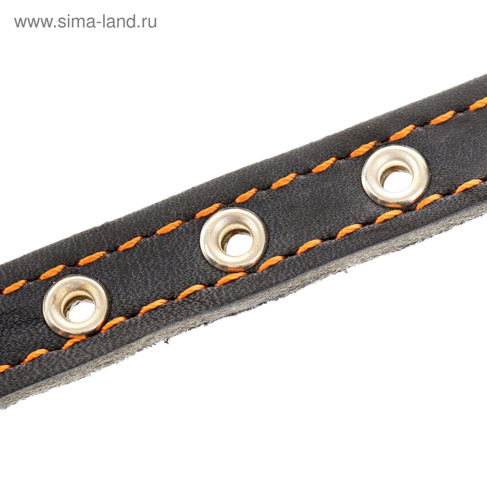 Ошейник кожаный для собак на синтепоне, безразмерный, 37*1,5 см, синий