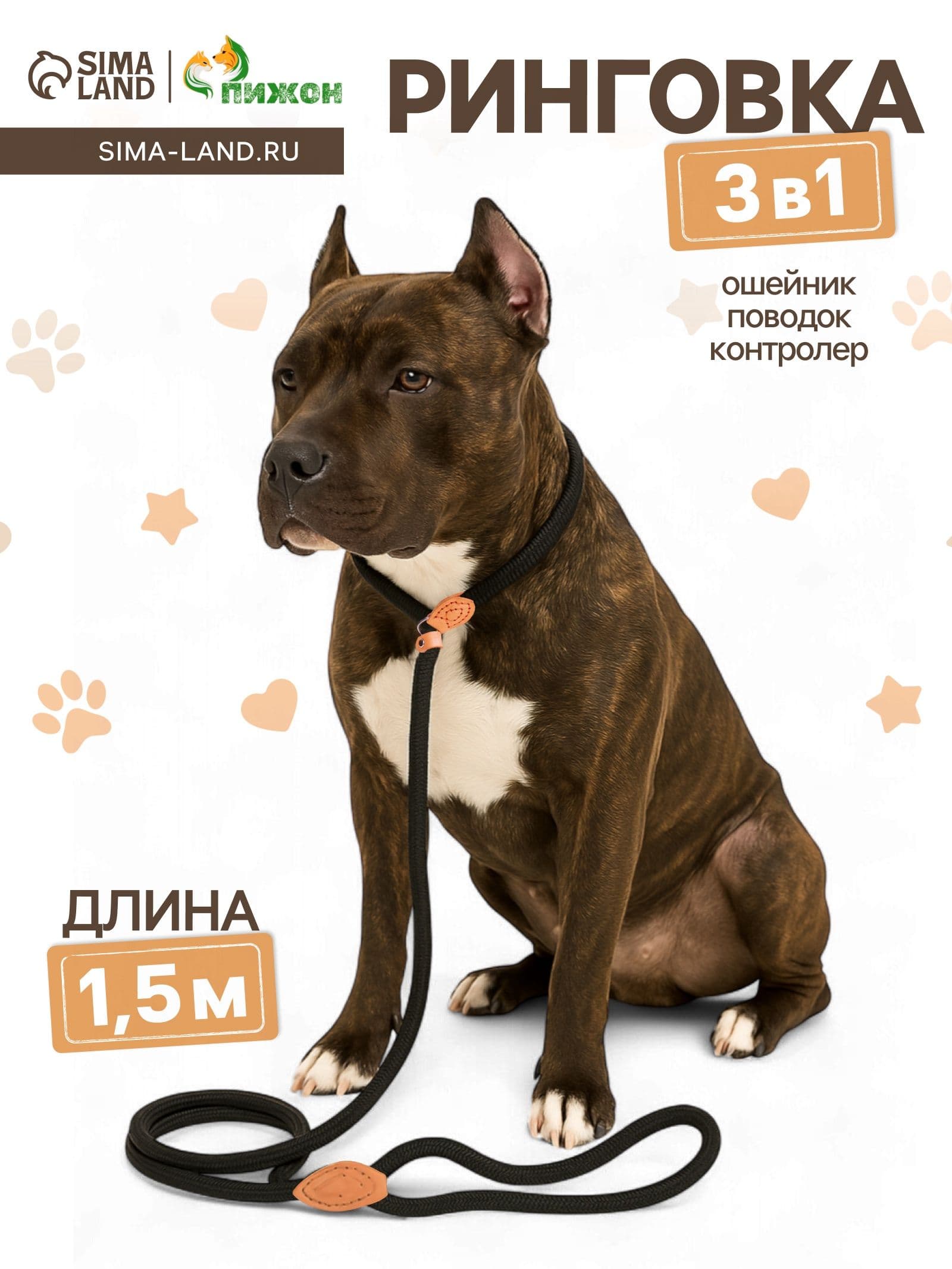 Поводок-удавка 150 х 1 см, полиэстер и натуральная кожа, чёрный