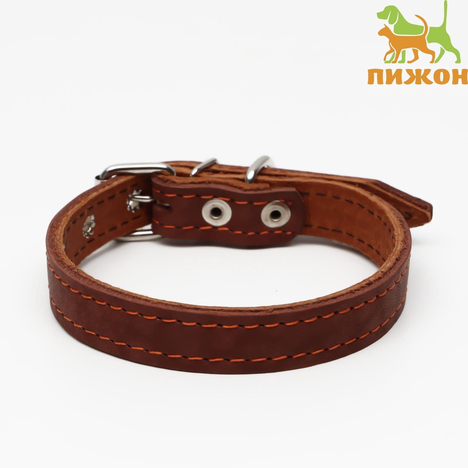 Ошейник кожаный двухслойный, 46*2 см, ОШ 25-35 см, коричневый