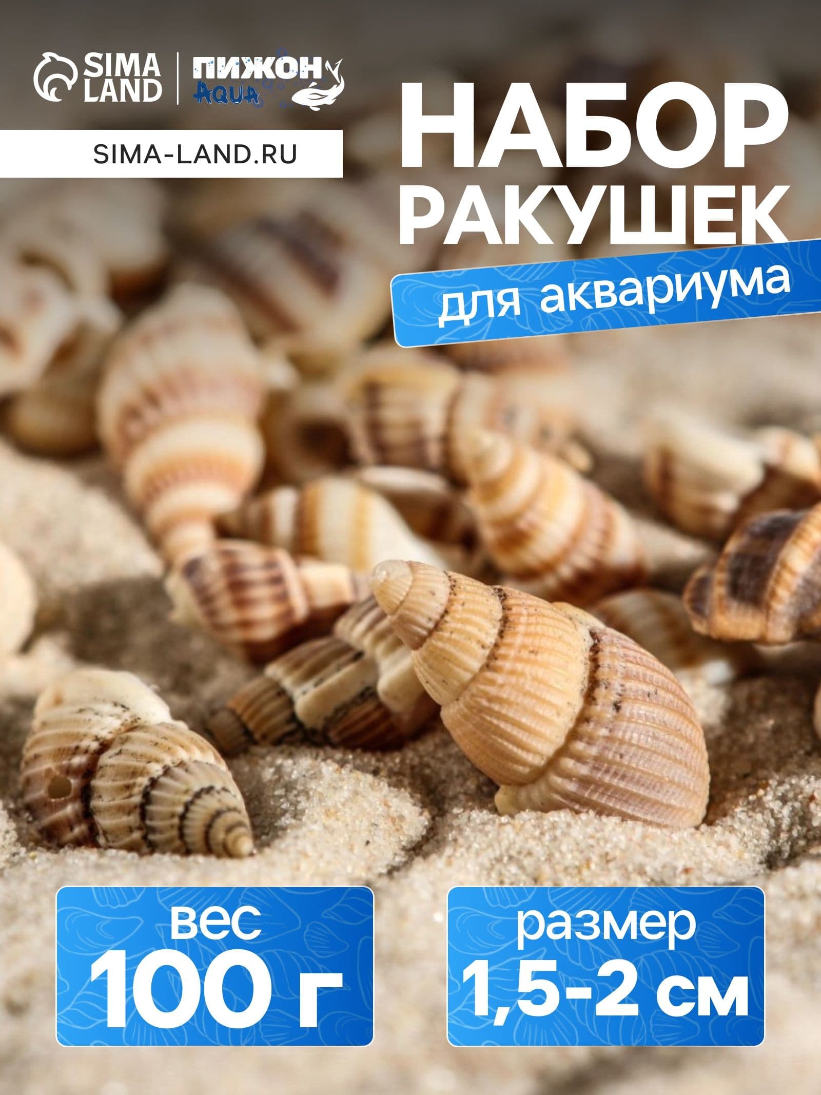 Набор ракушек 1-2 см, 100 г
