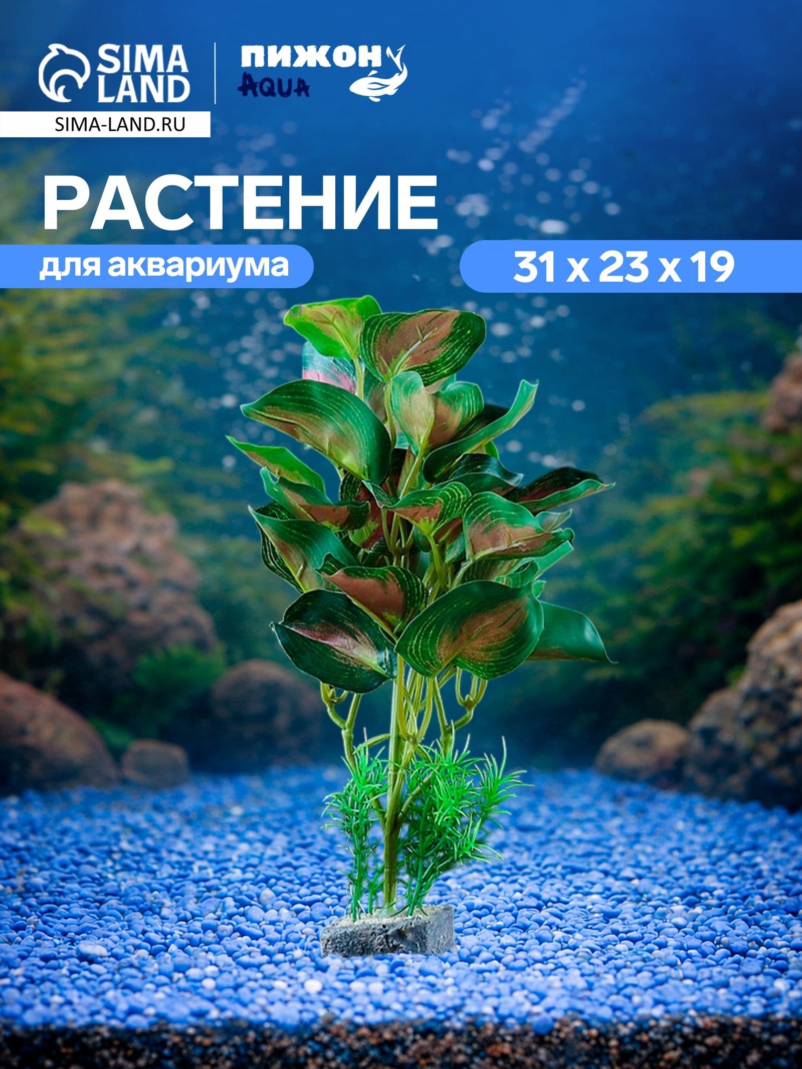 Растение аквариумное "в горшочке", 31 х 23 х 19 см