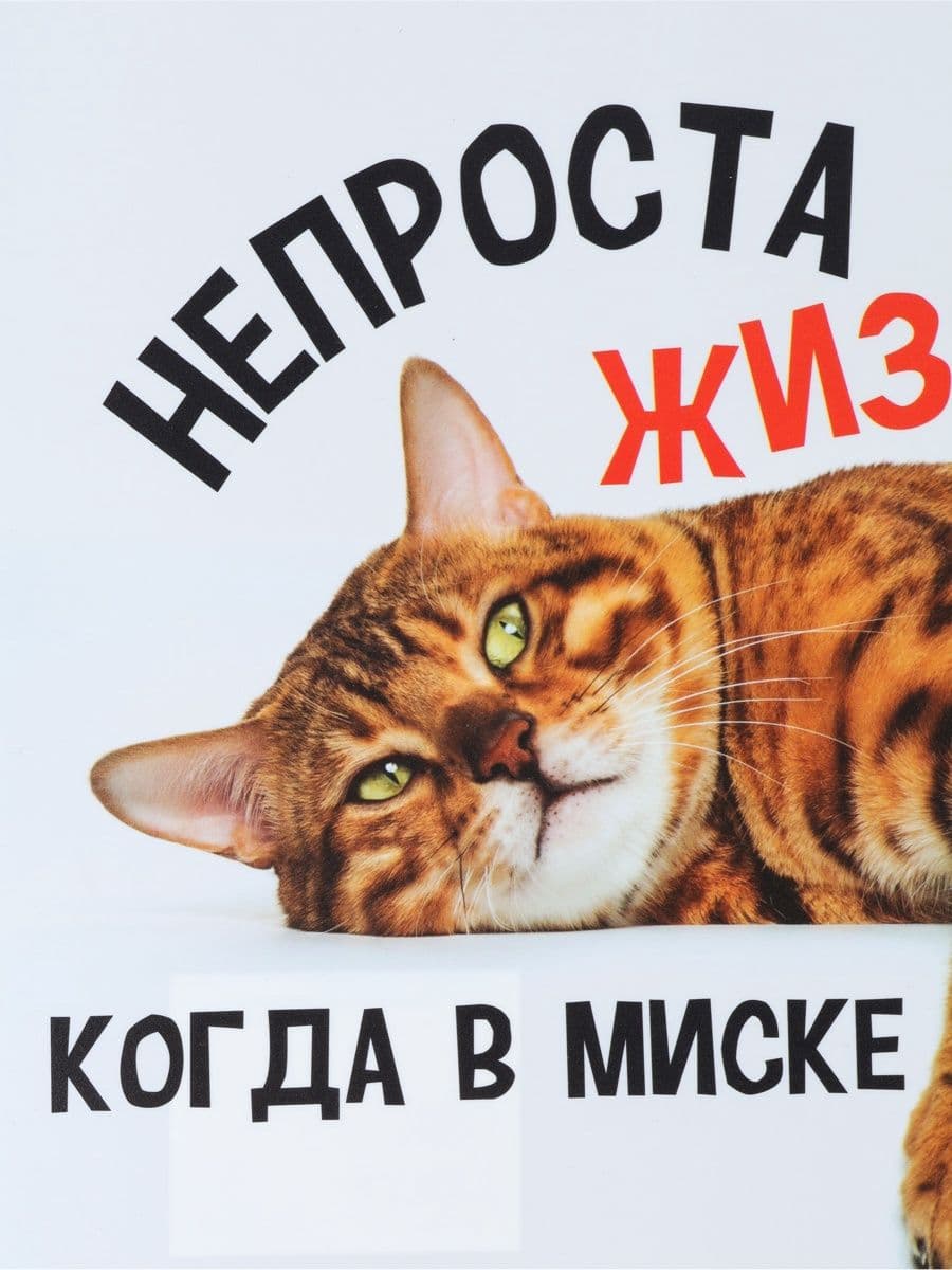 Коврик под миску для кошки "Не проста жизнь кота", 28 х 43 см