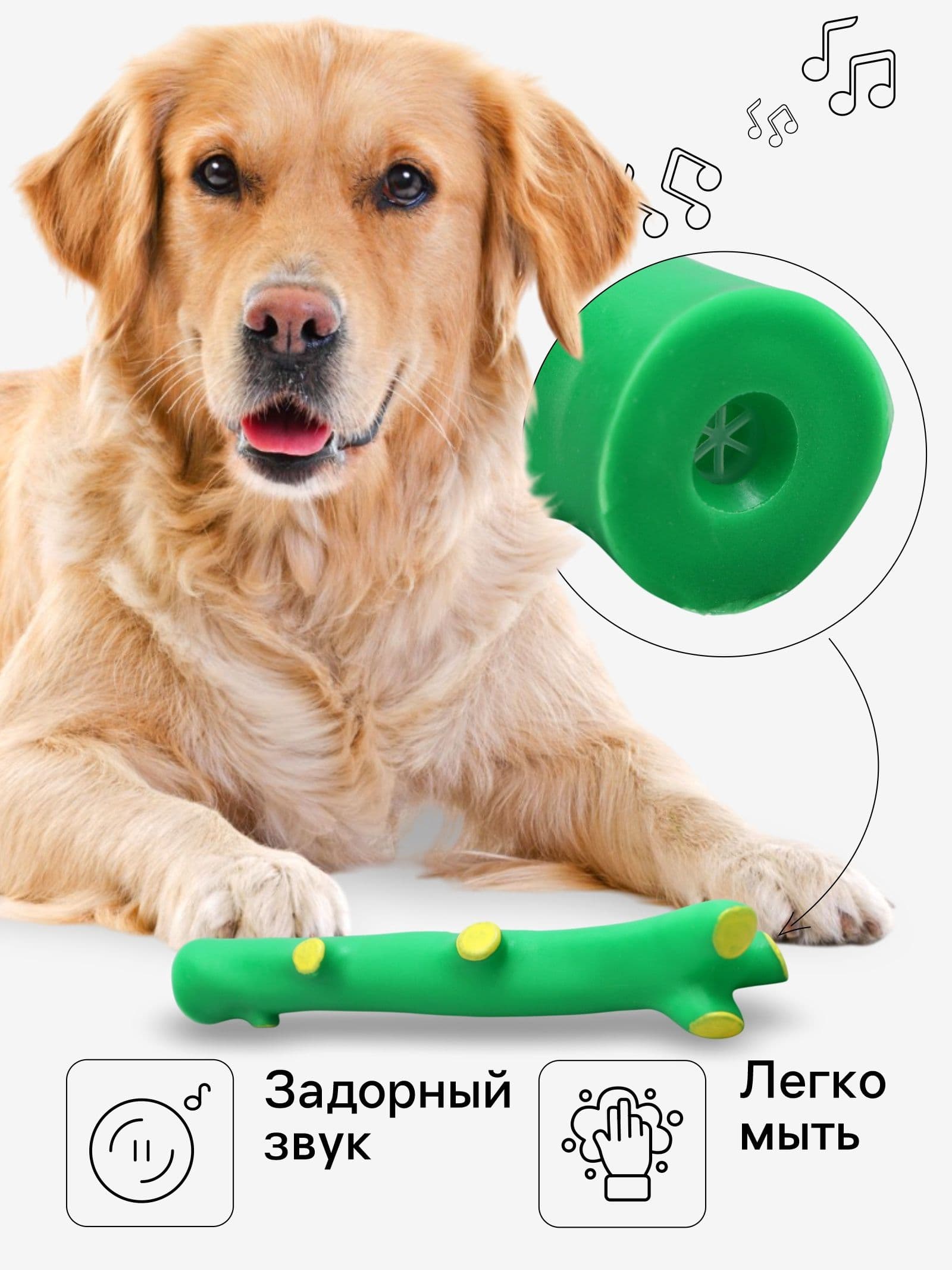 Игрушка пищащая Ветка для собак, 21,5 см, зелёная