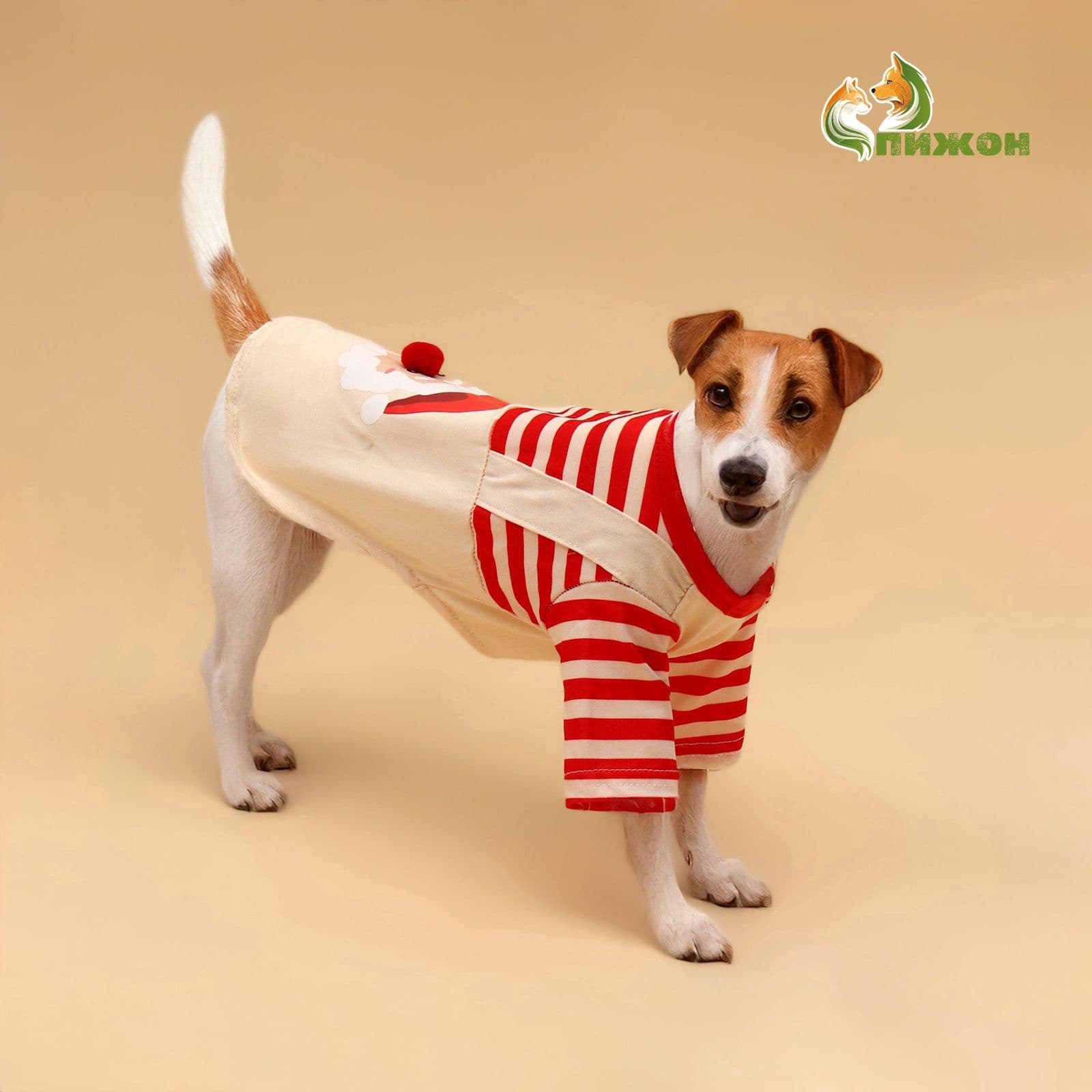 Новый год. Футболка Santa, S (ДС 25, ОГ 35 см)