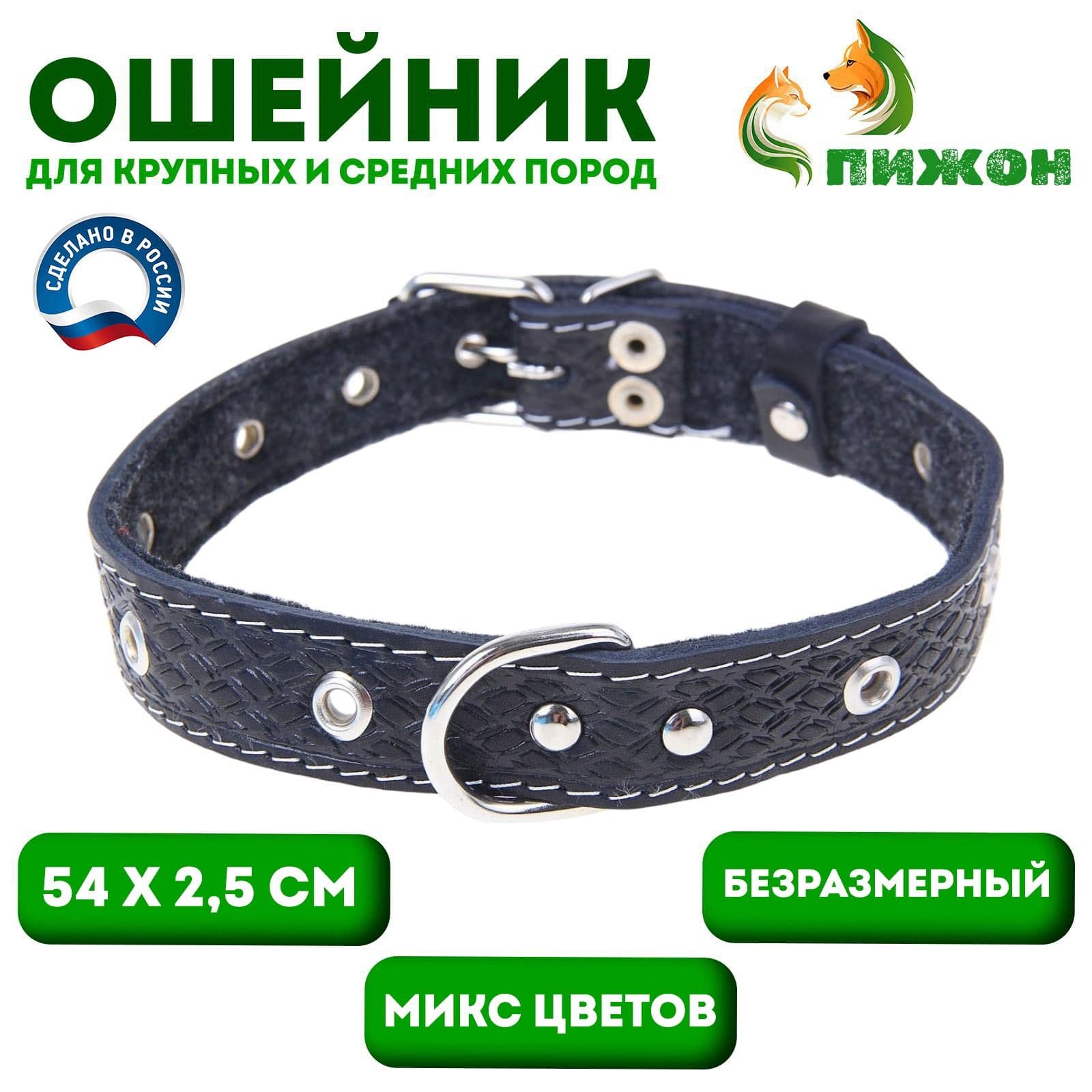 Ошейник кожаный тисненый на фетре, 54 х 2.5 см, безразмерный