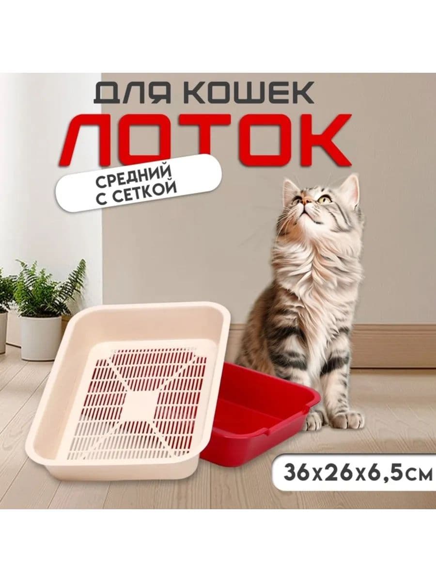Туалет для кошек, средний без сетки 36 х 26 х 6,5 см, красный