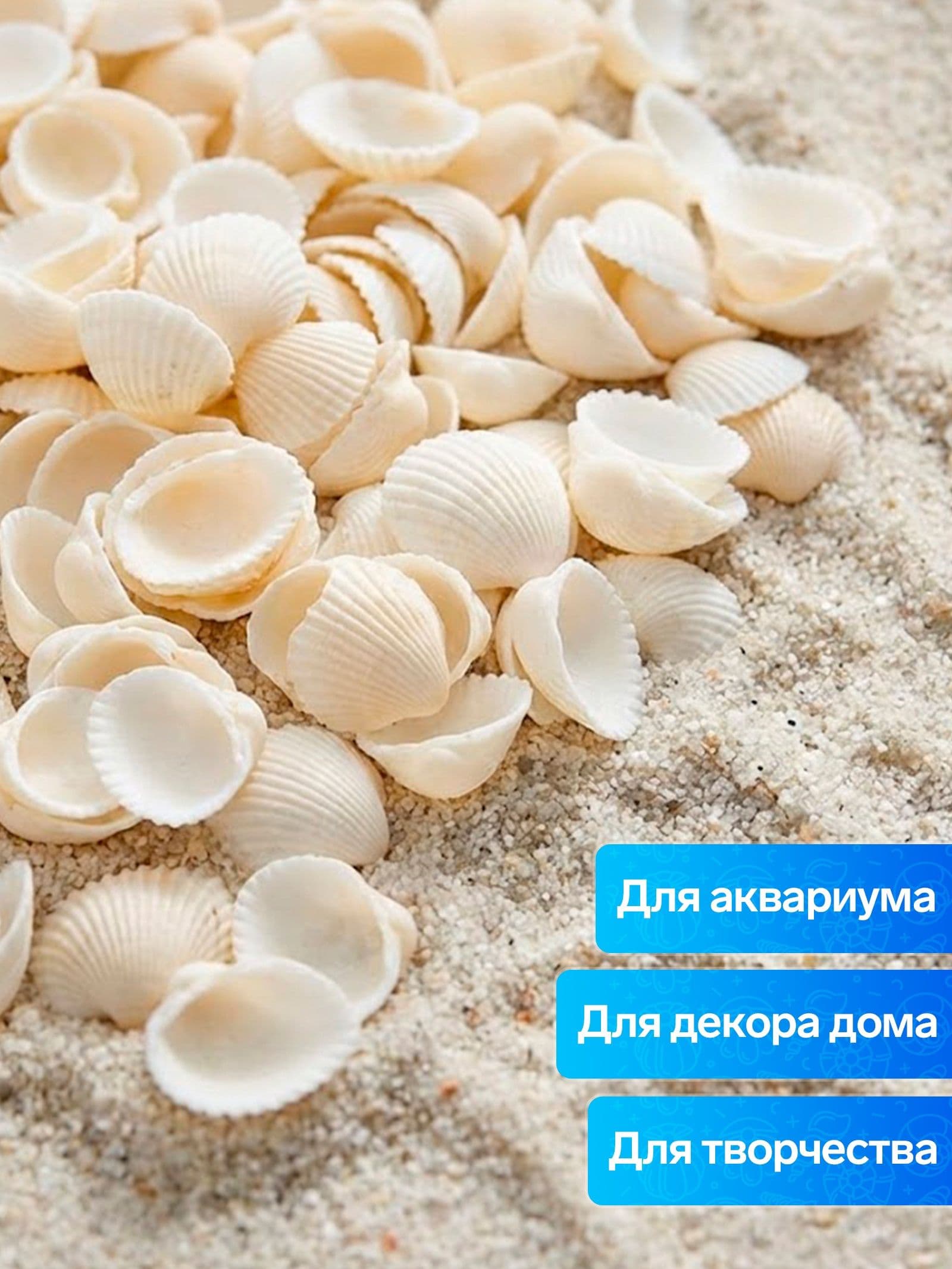 Морские ракушки для декора и творчества, 1,5-3 см, 100 г