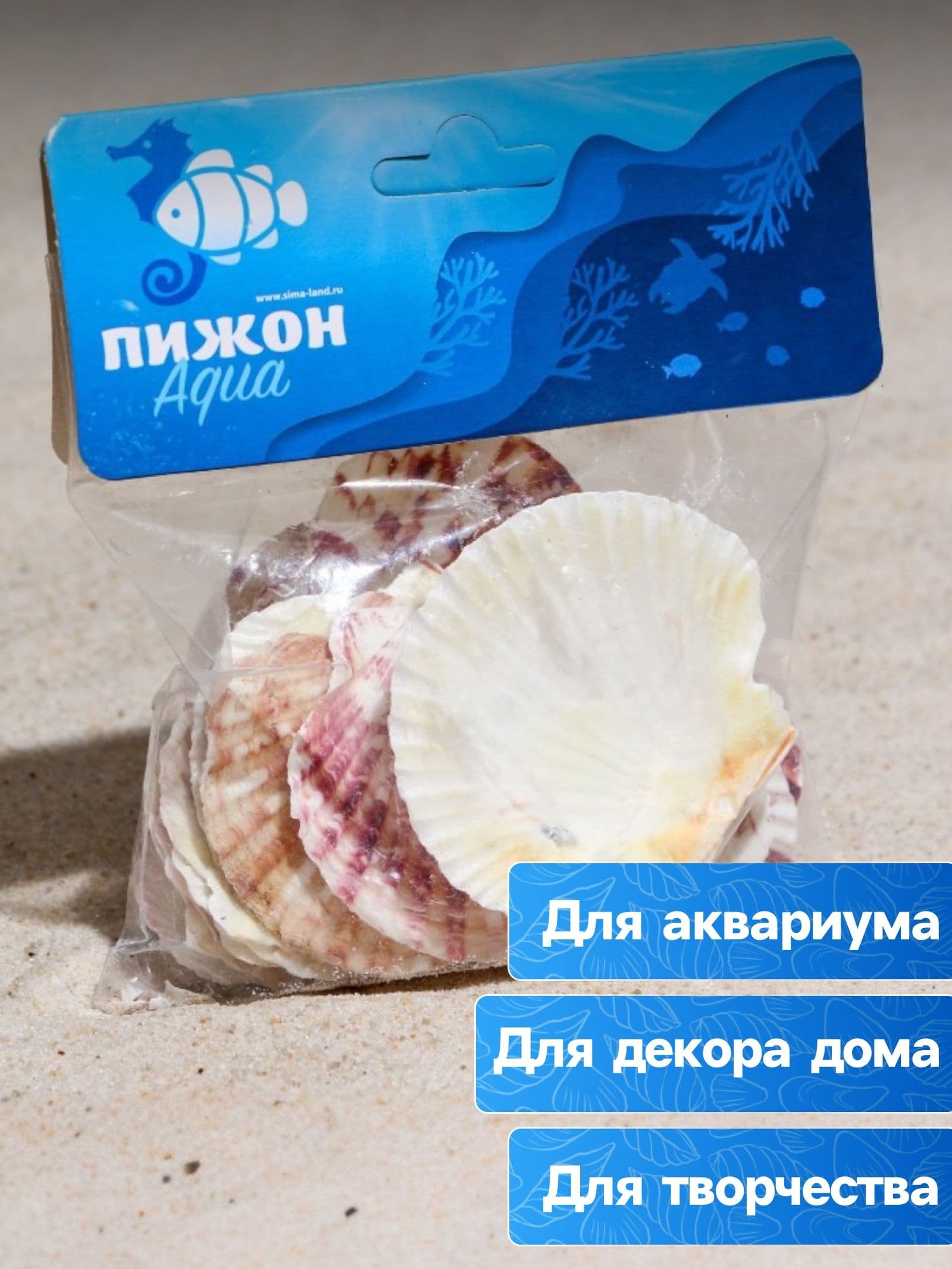 Набор ракушек, Гребешок пуксидатус, размер 4 - 6 см, 100 г