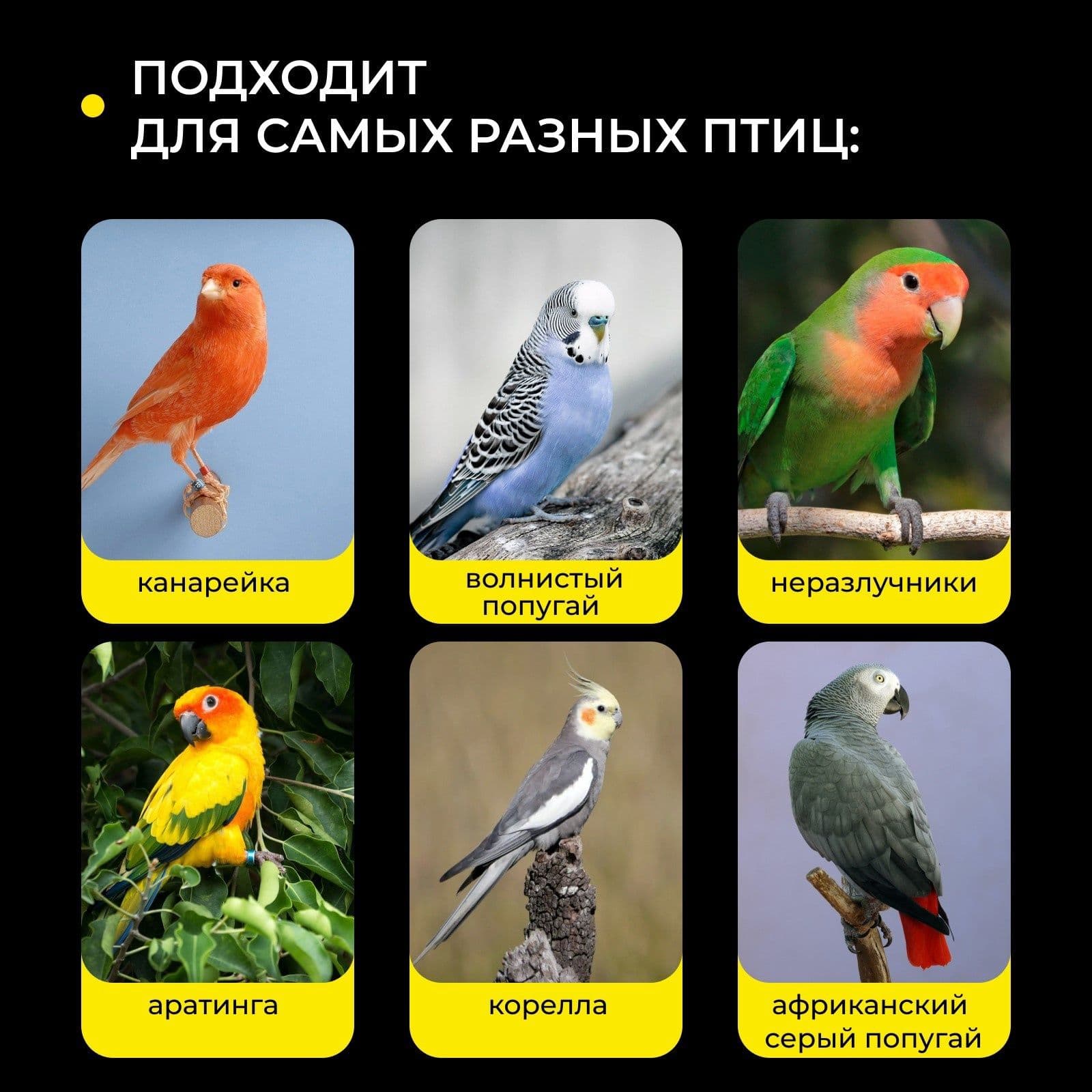 Кормушка для птиц внешняя, 6.7 6.2 8 см