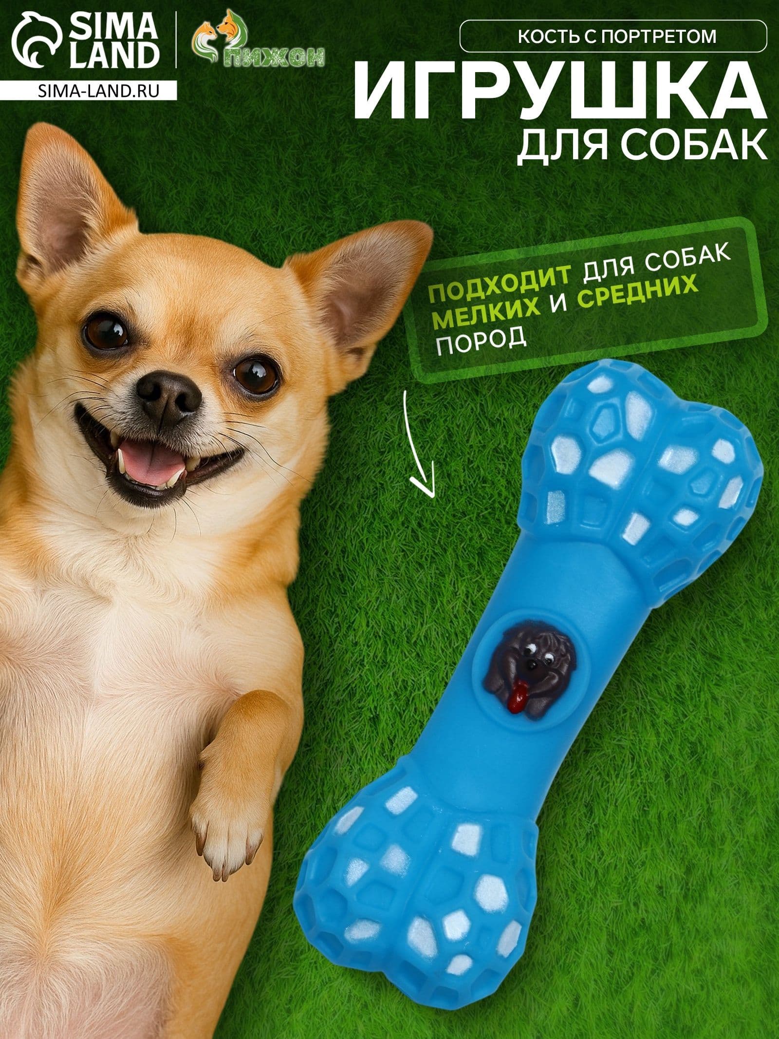 Игрушка пищащая Кость с портретом для собак, 15 см, голубая