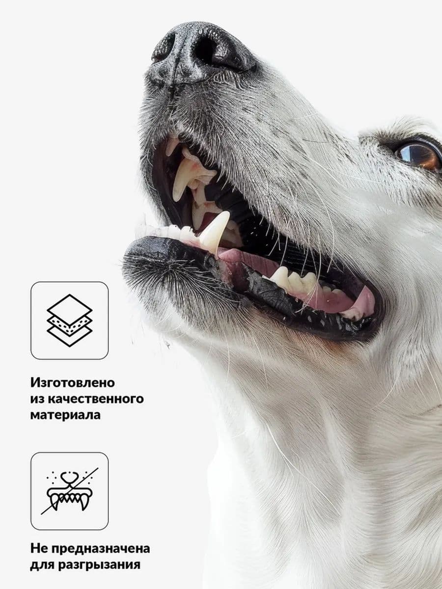 Мячик пищащий Лапки для собак, 5,5 см, голубой
