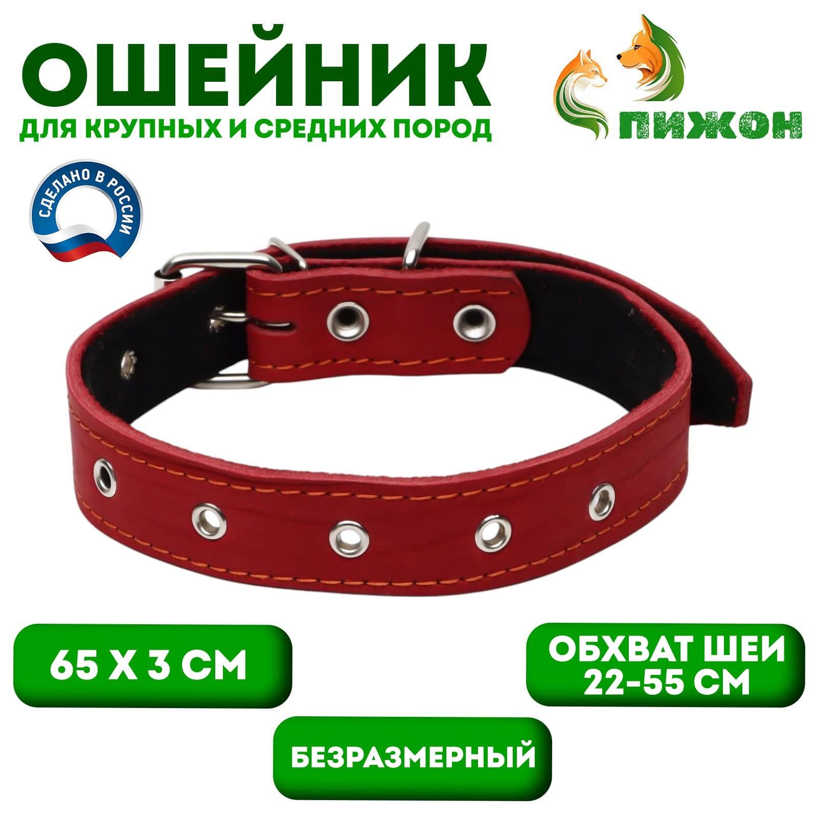 Ошейник кожаный для собаки, безразмерный с подкладом, ОШ 22-55 см
