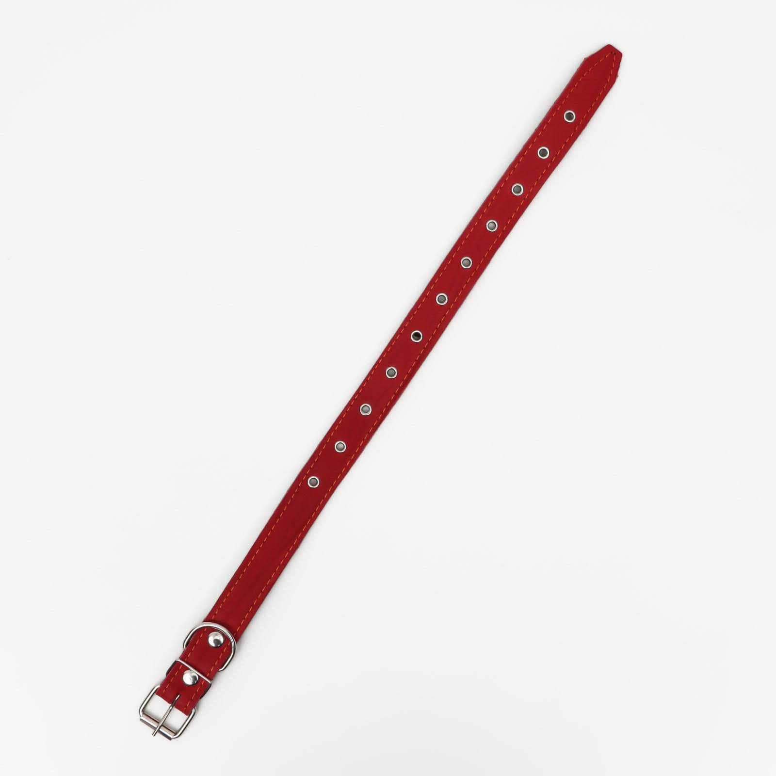 Ошейник кожаный для собаки, безразмерный с подкладом, ОШ 22-55 см