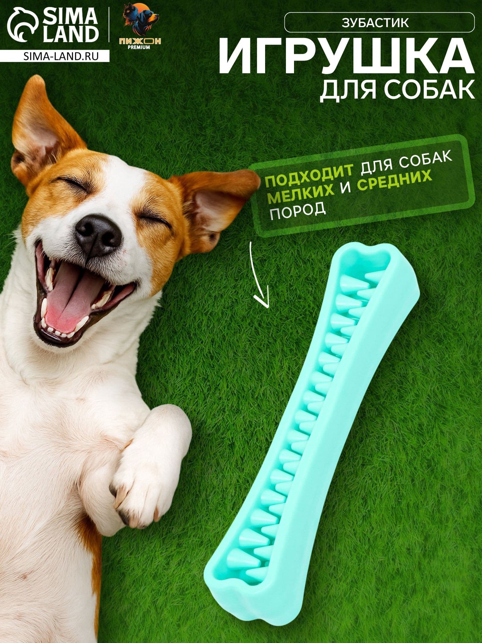Игрушка для собак мелких и средних пород и щенков Пижон Premium, жевательная, 18,3 х 3,8 см, мятная