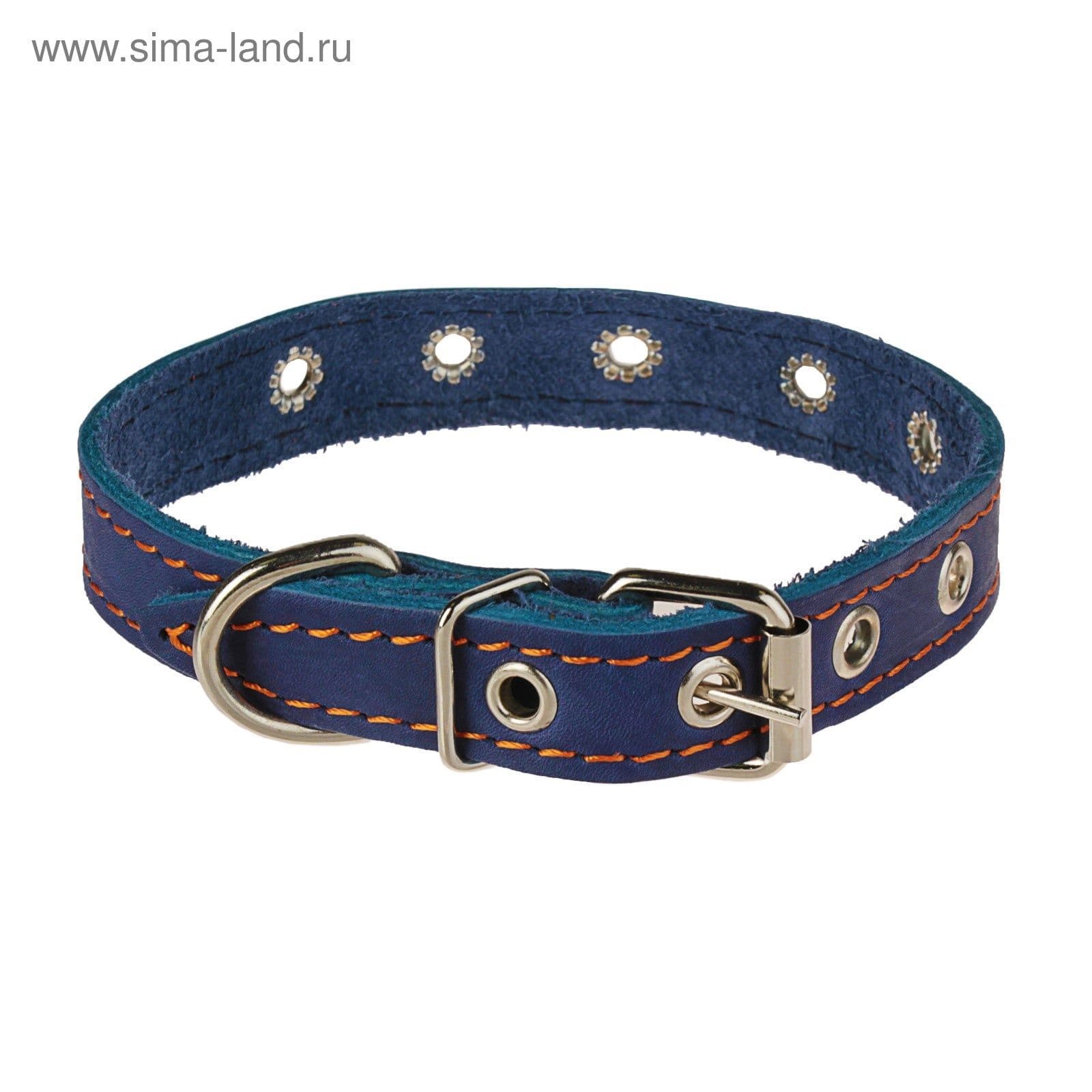Ошейник кожаный однослойный безразмерный, 45 2 см, ОШ 18-39 см, синий