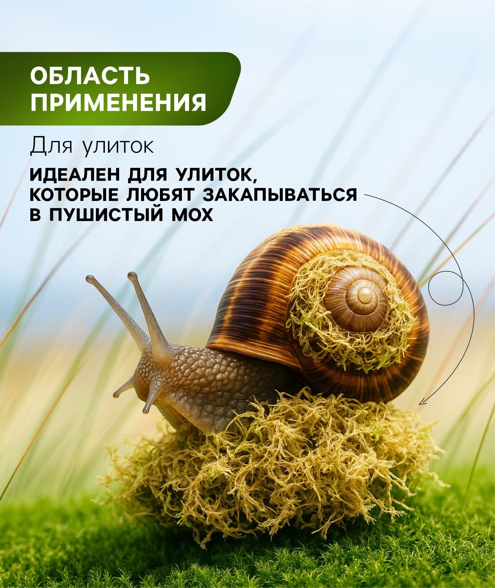 Мох сфагнум для террариумов "Рецепты дедушки Никиты" 1 л