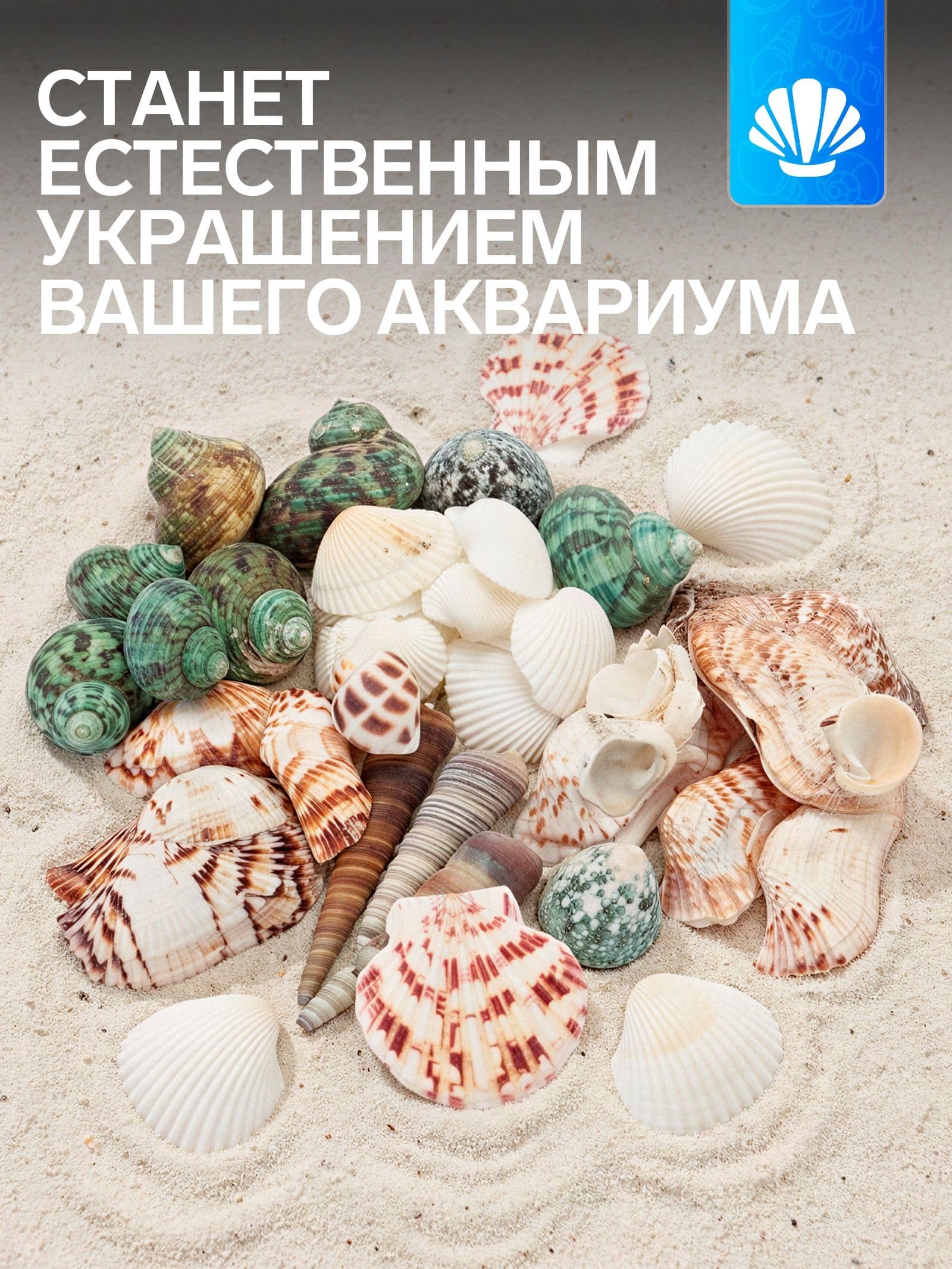 Набор ракушек Пижон Аква 200 г, микс №1