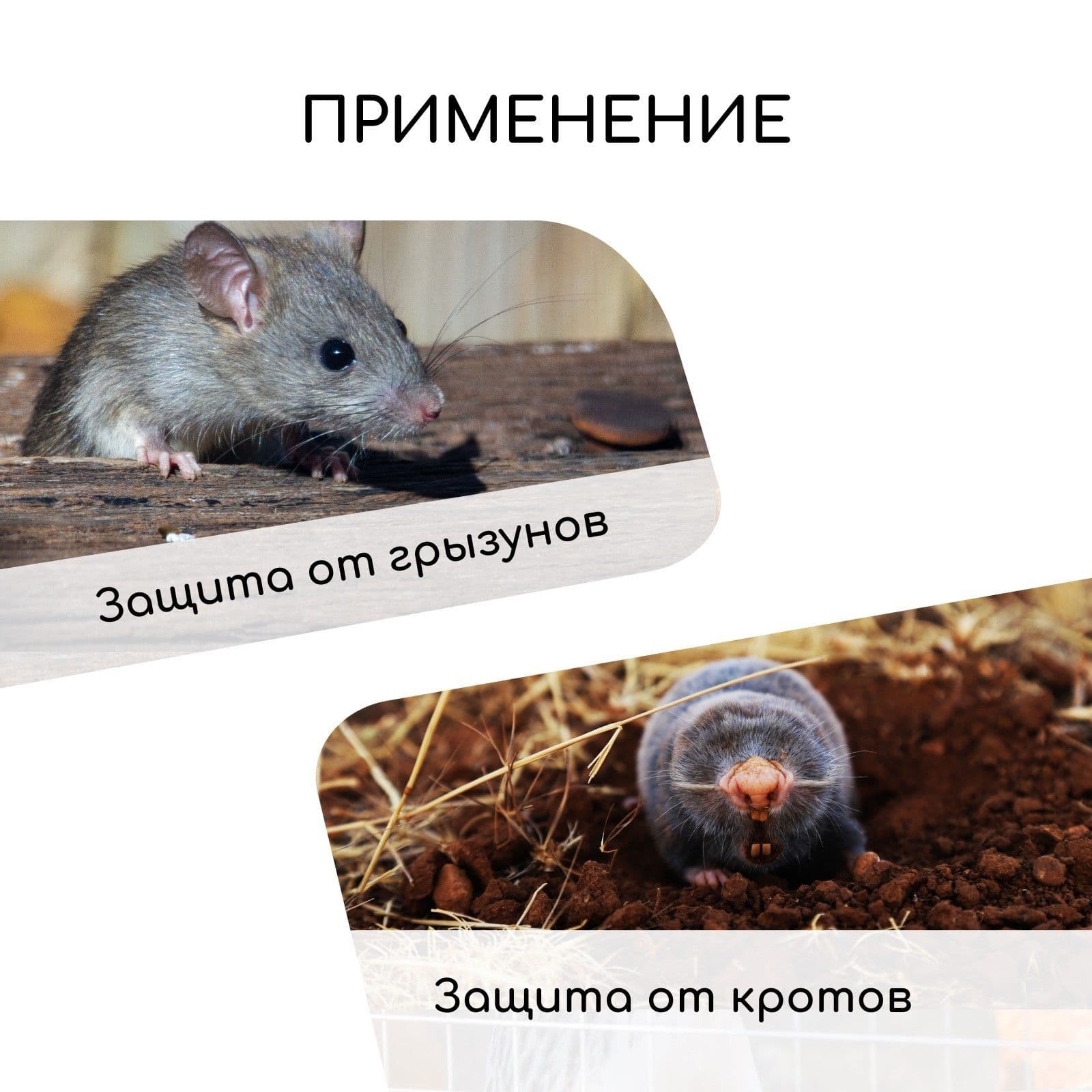 Сетка оцинкованная 10 х 1 м Greengo, ячейка 12.5 х 12.5 мм для хозяйства