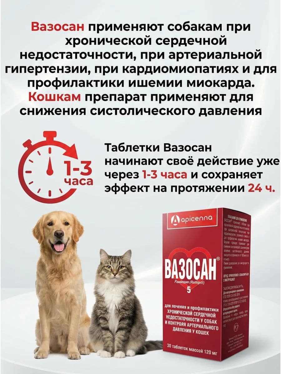 Вазосан 5мг для собак