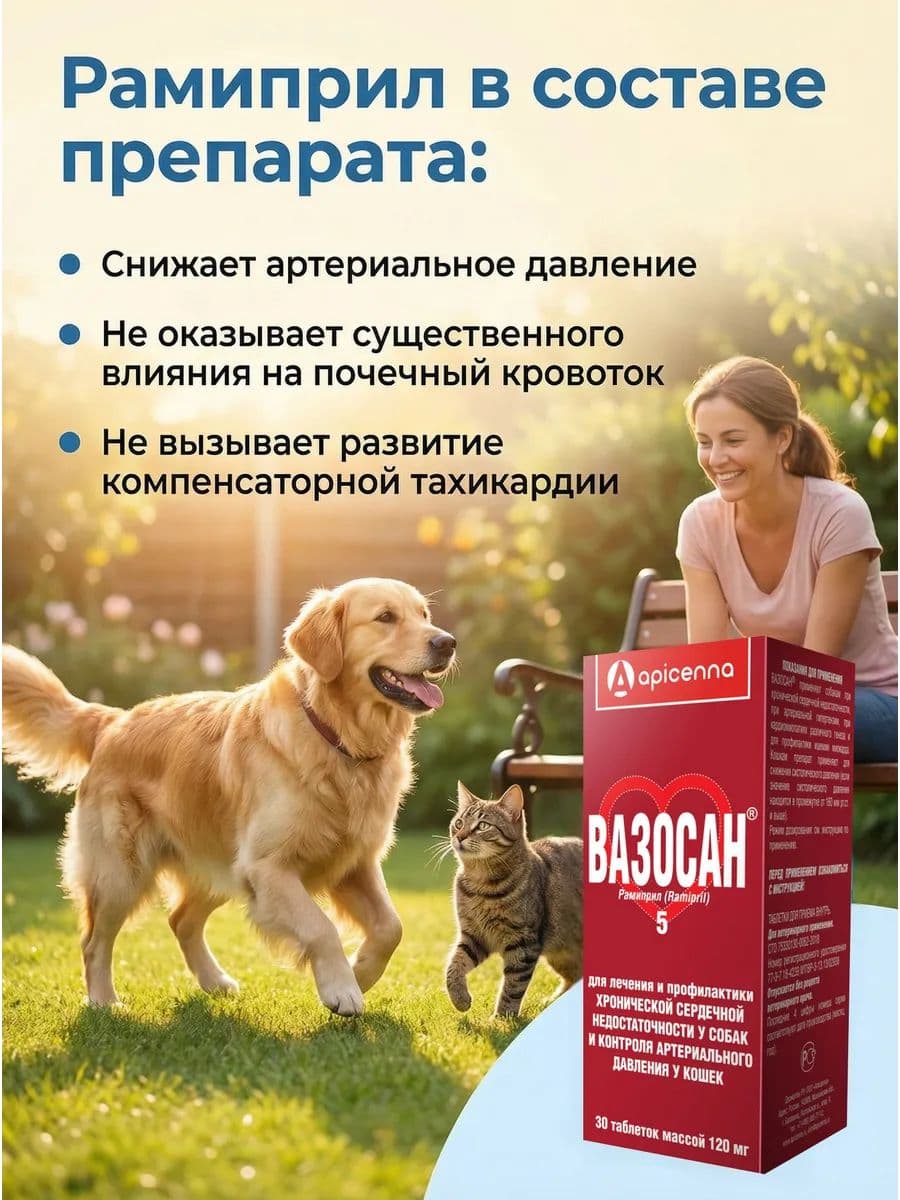 Вазосан 5мг для собак