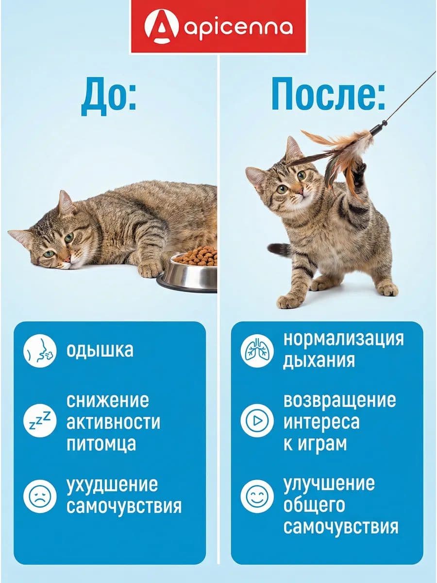 Вазосан 5мг для собак