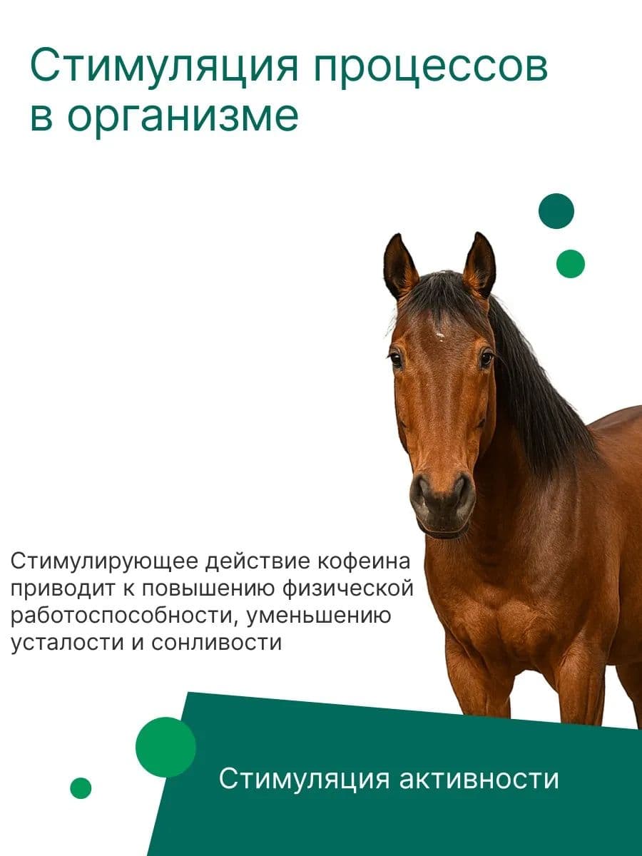 Кофеин-бензоат натрия 20% для животных, 100 мл