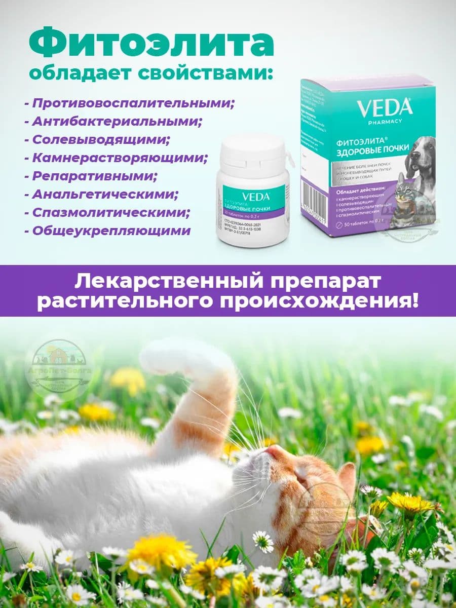 Фитоэлита Здоровые почки для собак и кошек