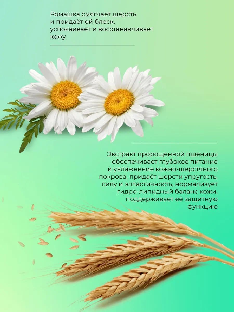 Шампунь Чистотел мягкий для кроликов и грызунов, 220 мл