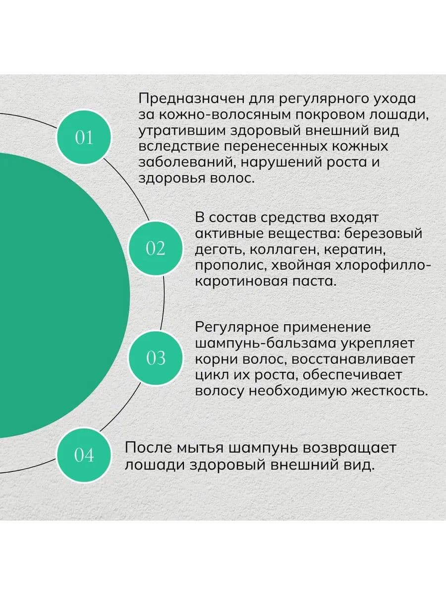 Шампунь-бальзам ВЕДА ЗооVIP для лошадей восстанавливающий с дёгтем и прополисом, 500 мл