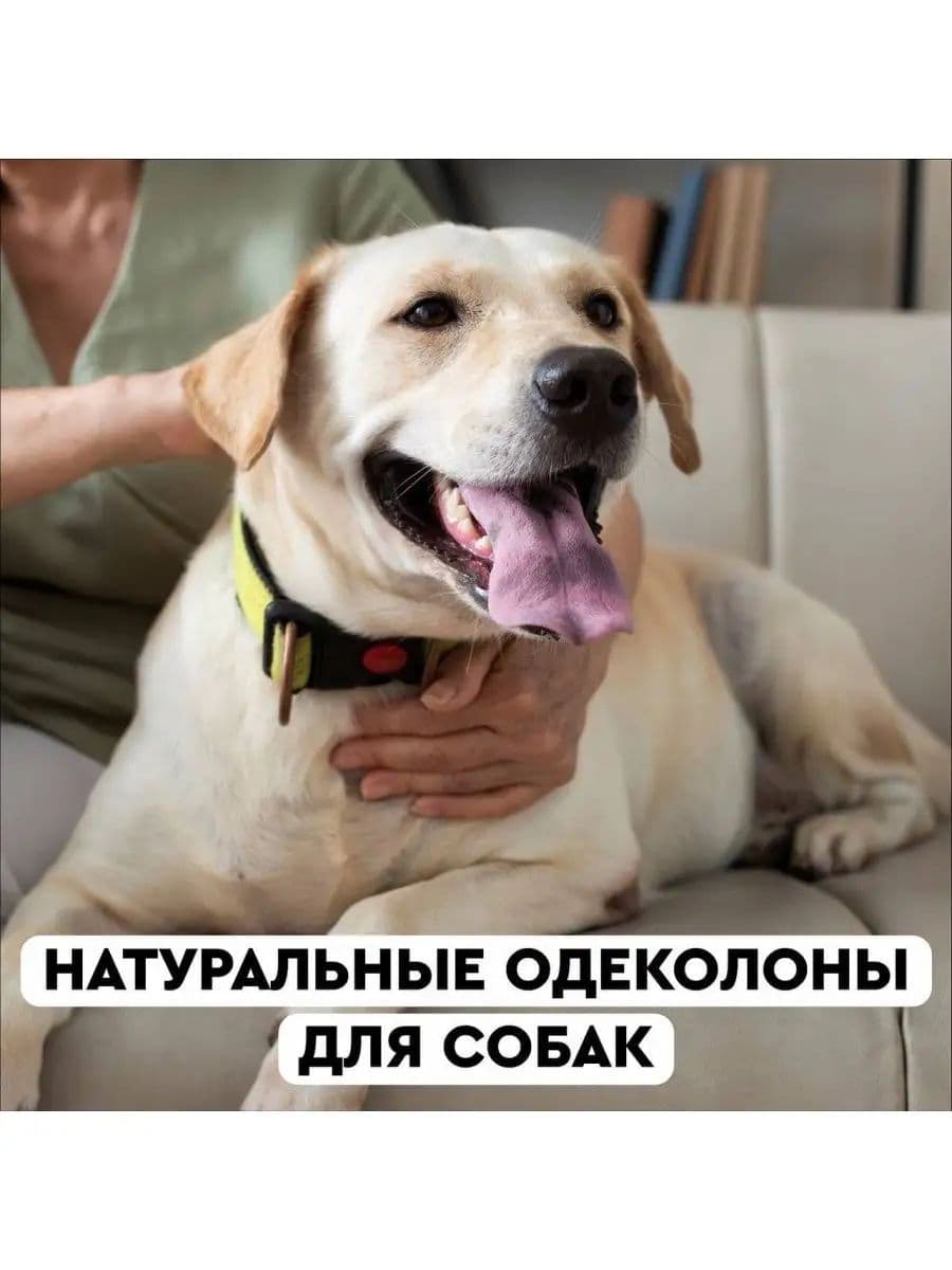 Одеколон Мэн фо Сан (Men for San) для собак с ароматом тропических фруктов, 125 мл