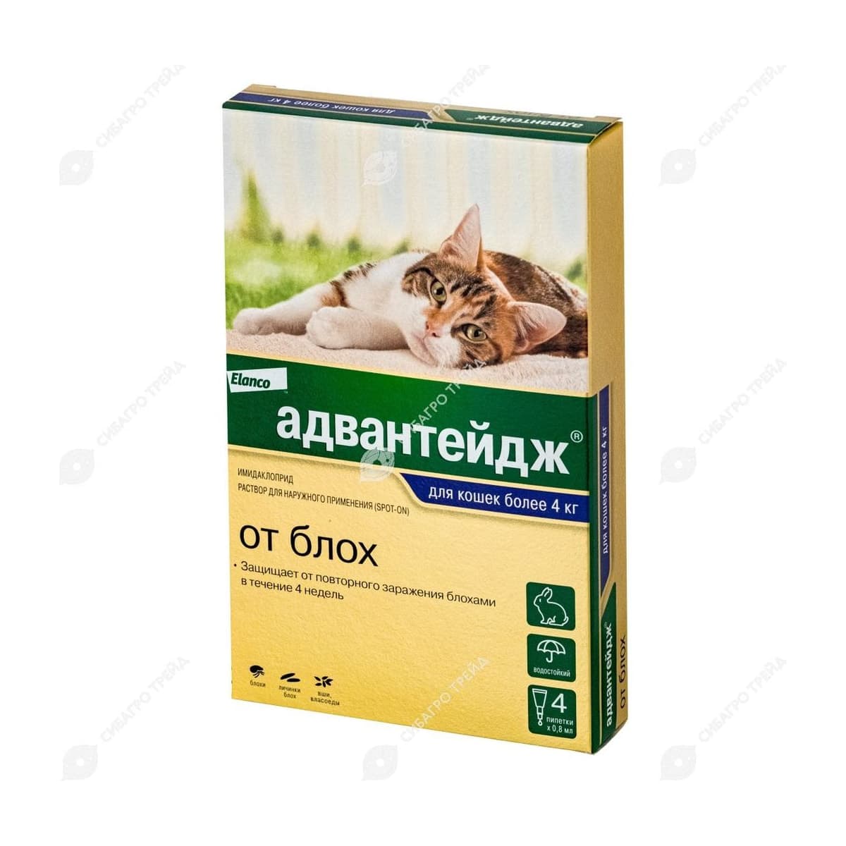 Адвантейдж 80 д/кошек от 4кг уп.4 пипетки (до 09.2029)