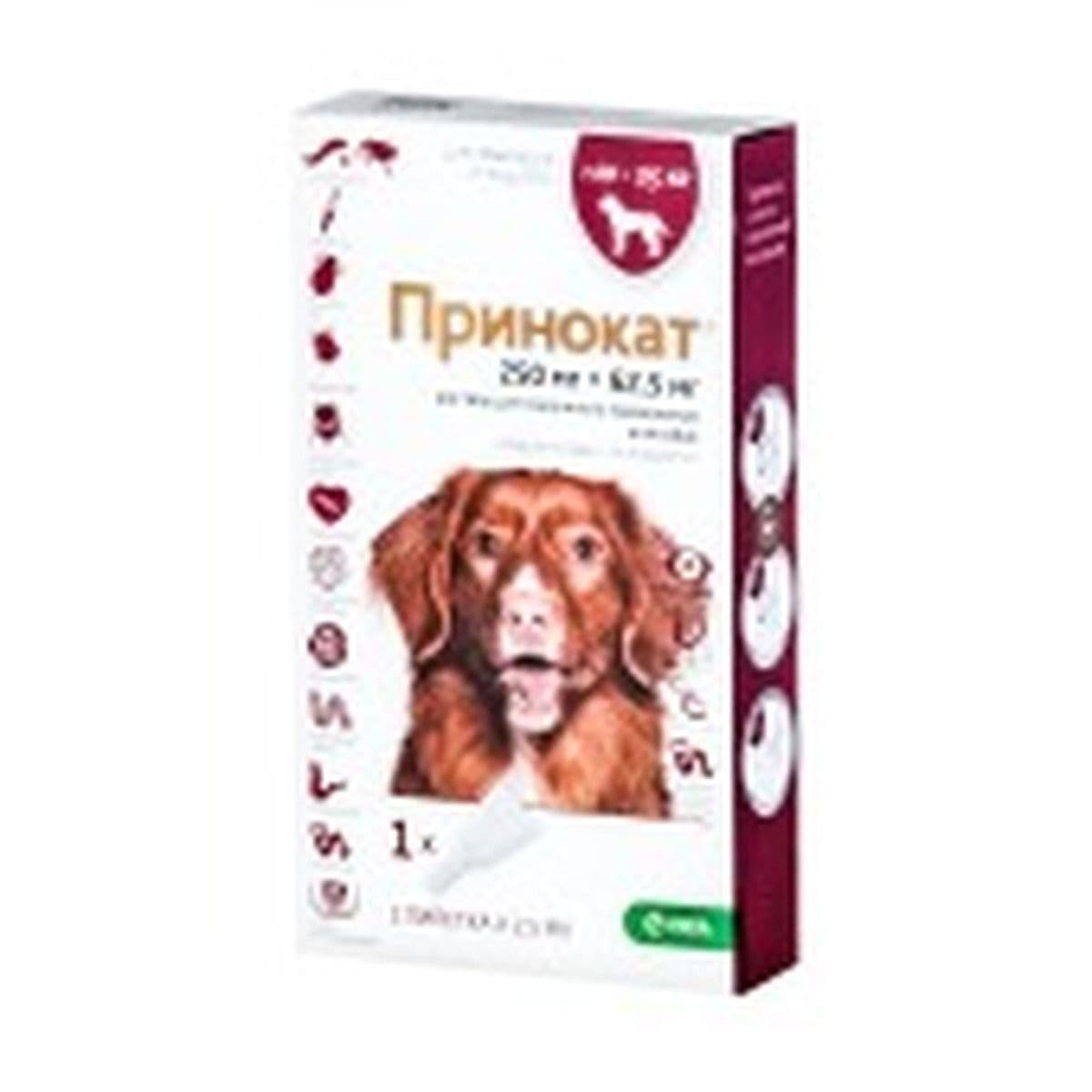 Принокат для собак 10-25 кг 250/62,5 мг, 2,5мл, 1 пипетка