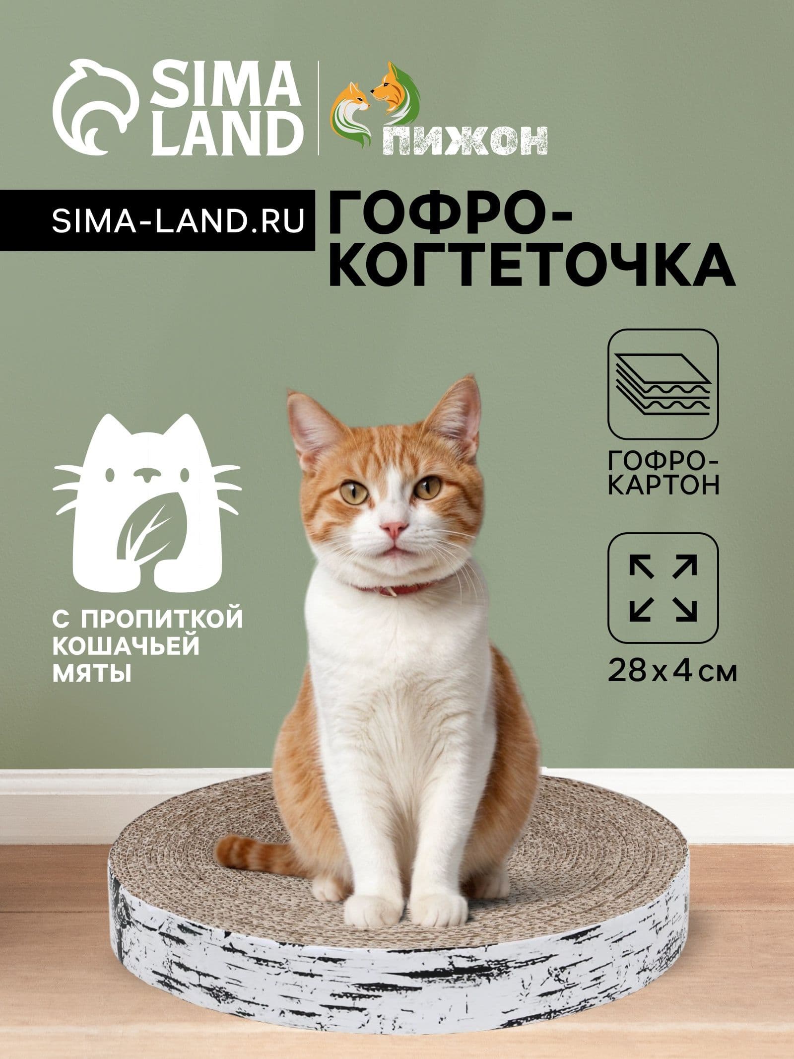 Гофрокогтеточка Пижон. Спил березы , 28 4 см, с пропиткой, высокая, круглая